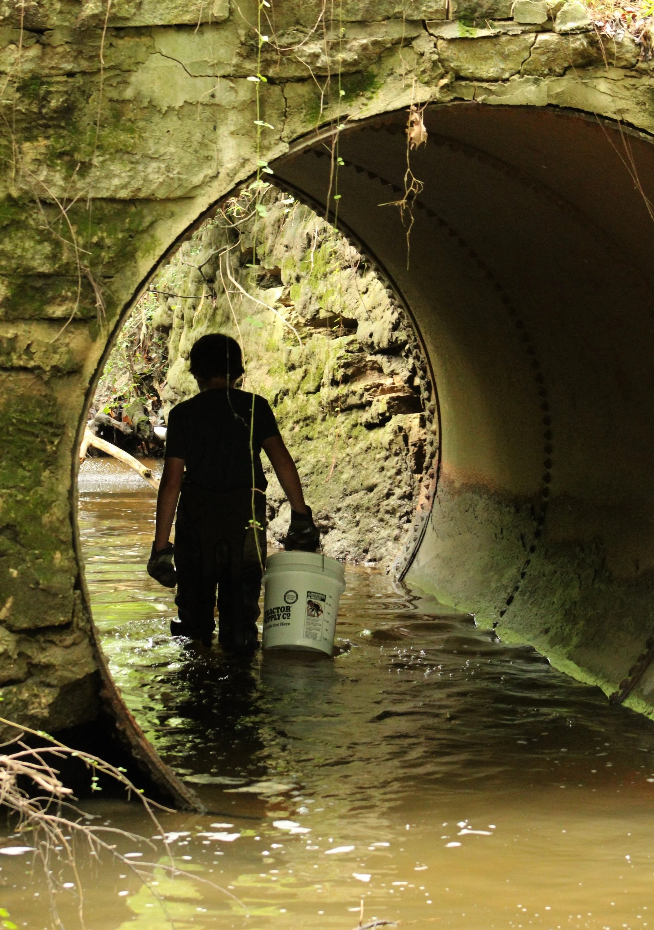 WT LOC swamp cleanup 1 8-19-2025 DW.JPG