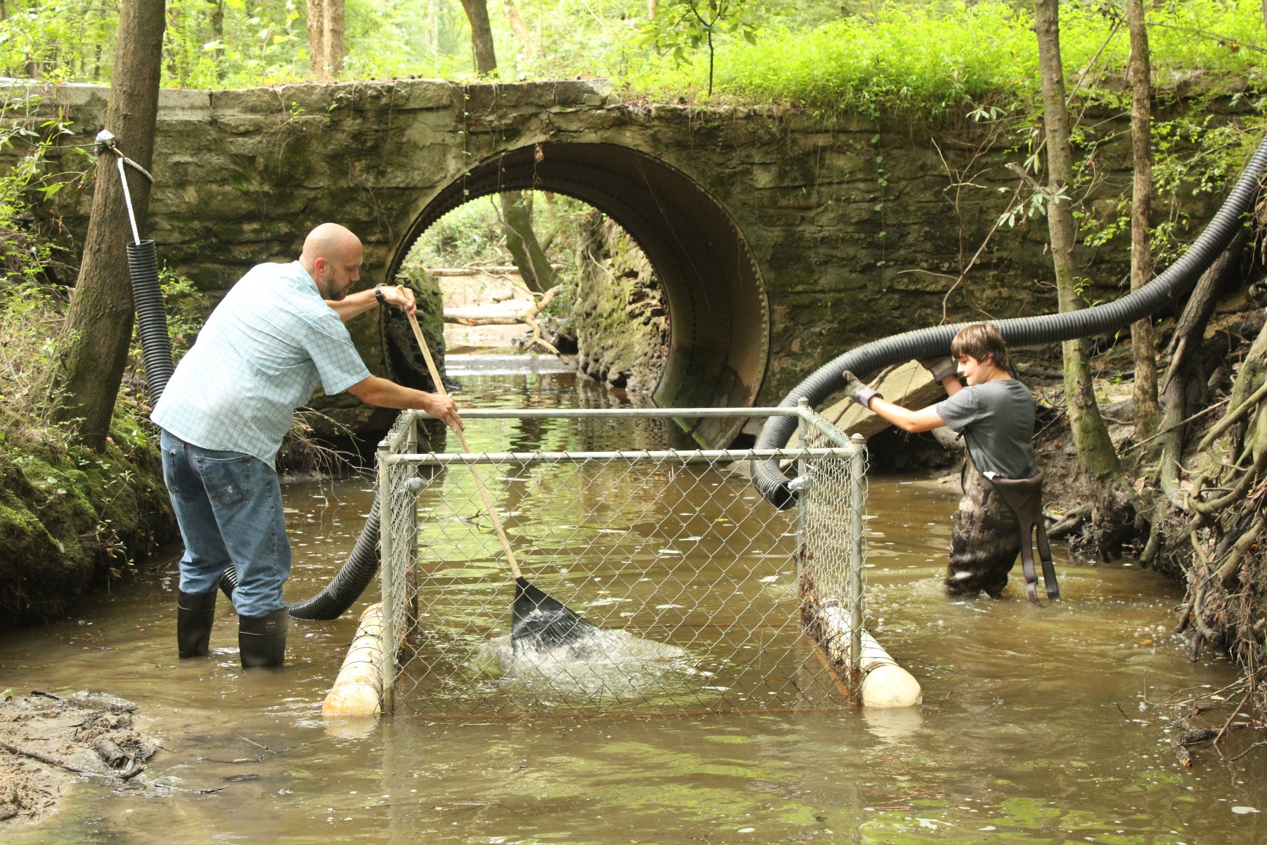 WT LOC swamp cleanup 5 8-19-2025 DW.JPG