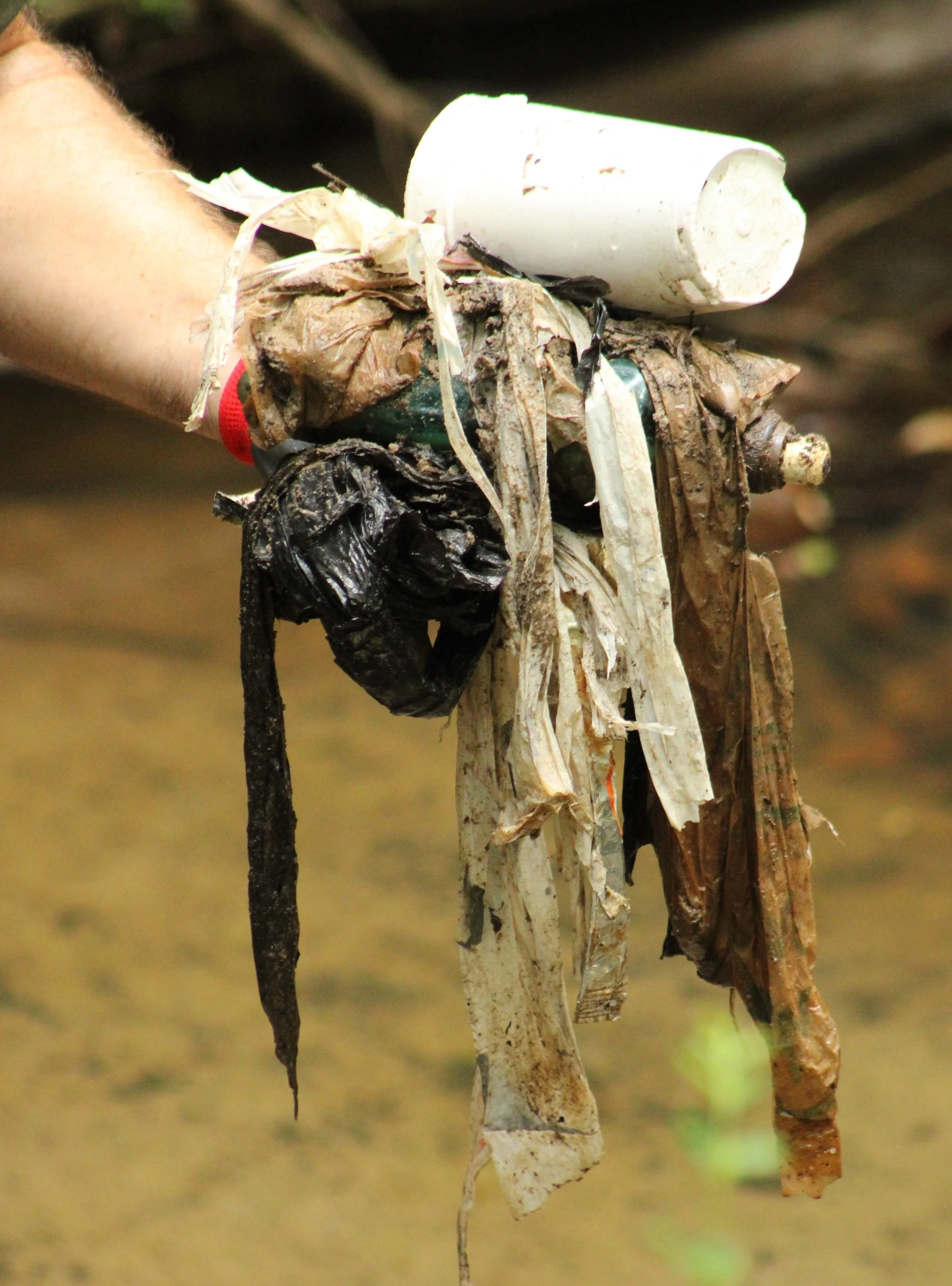 WT LOC swamp cleanup 4 8-19-2025 DW.JPG