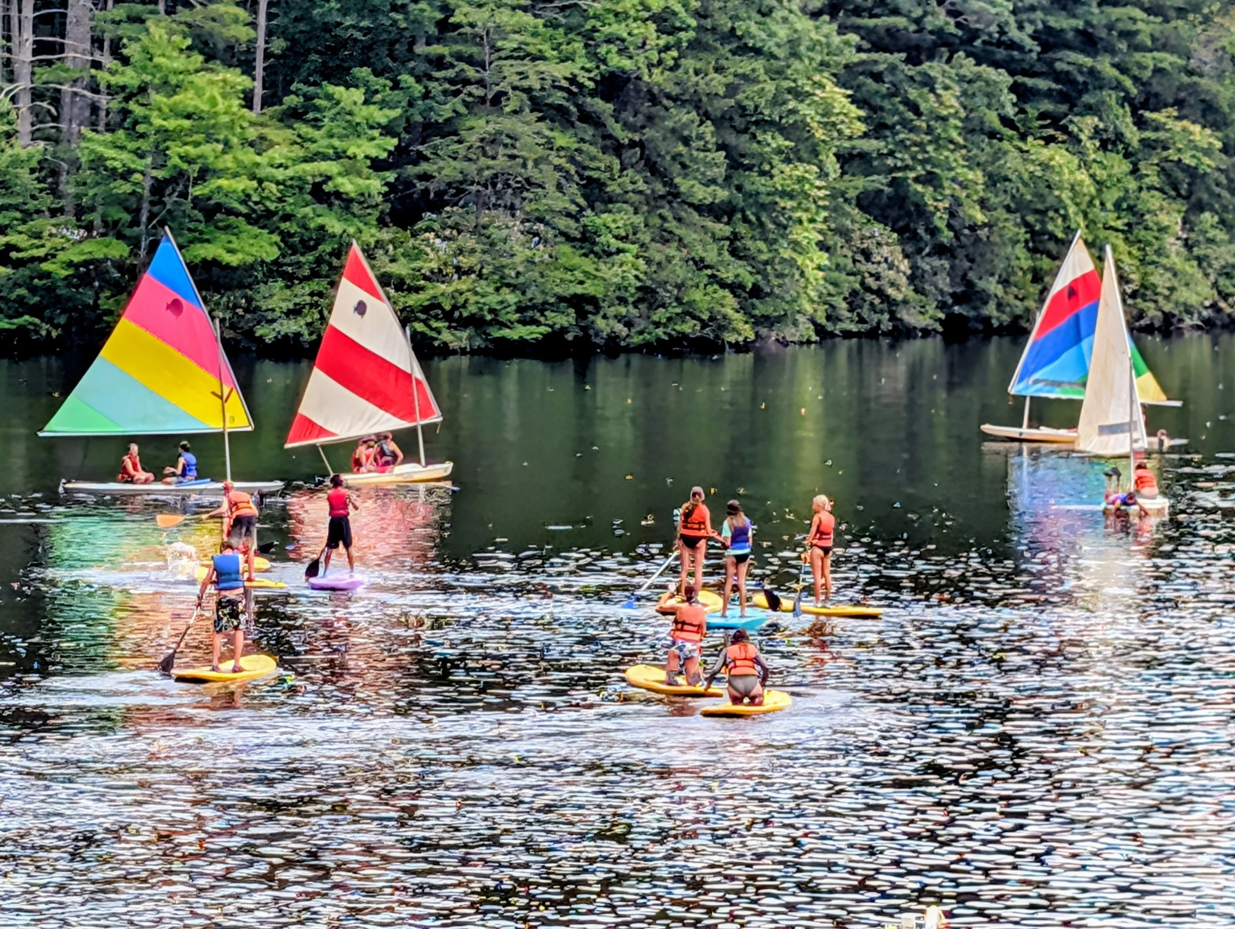 Troop 8 Summer Camp 2026