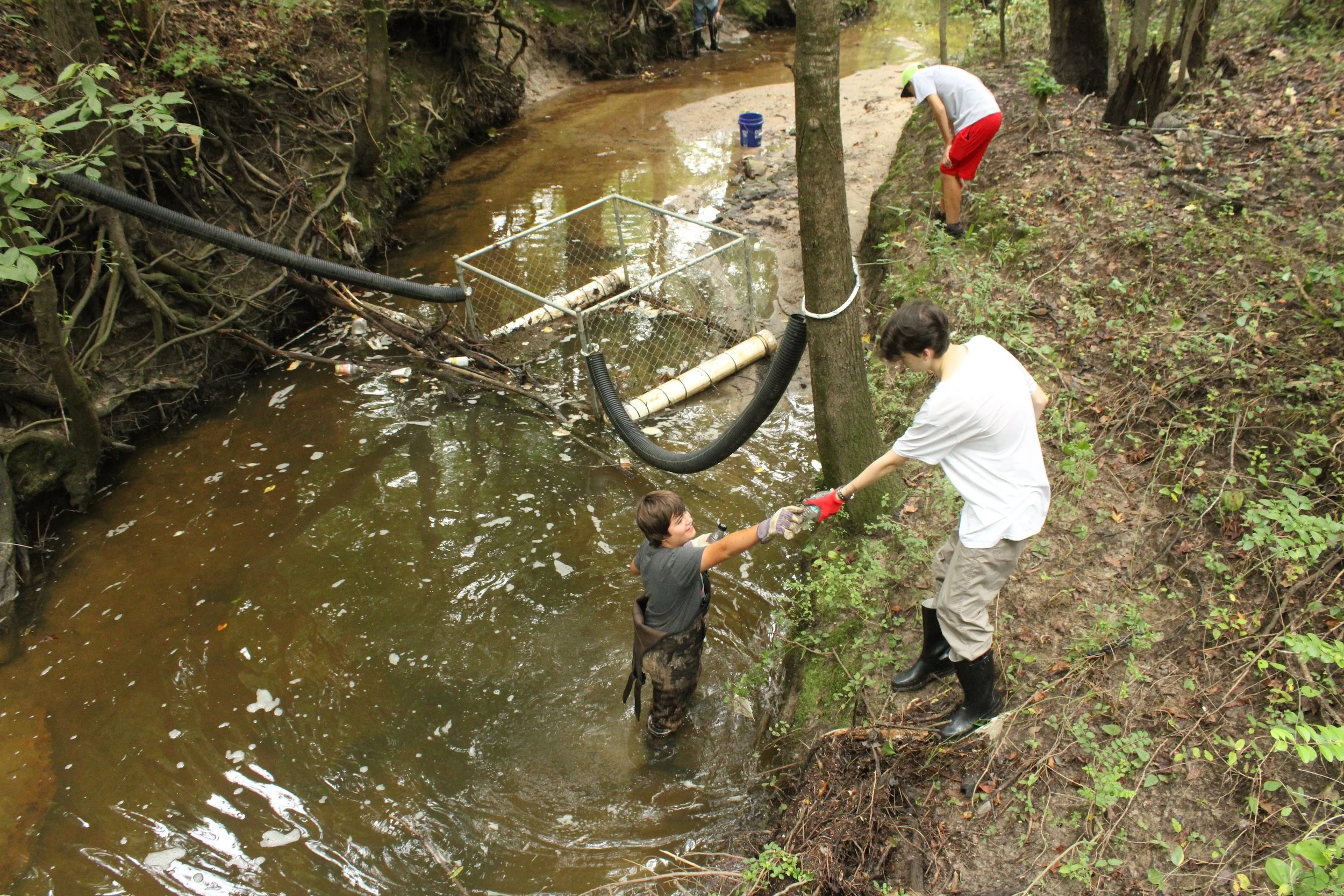 WT LOC swamp cleanup 2 8-19-2025 DW.JPG