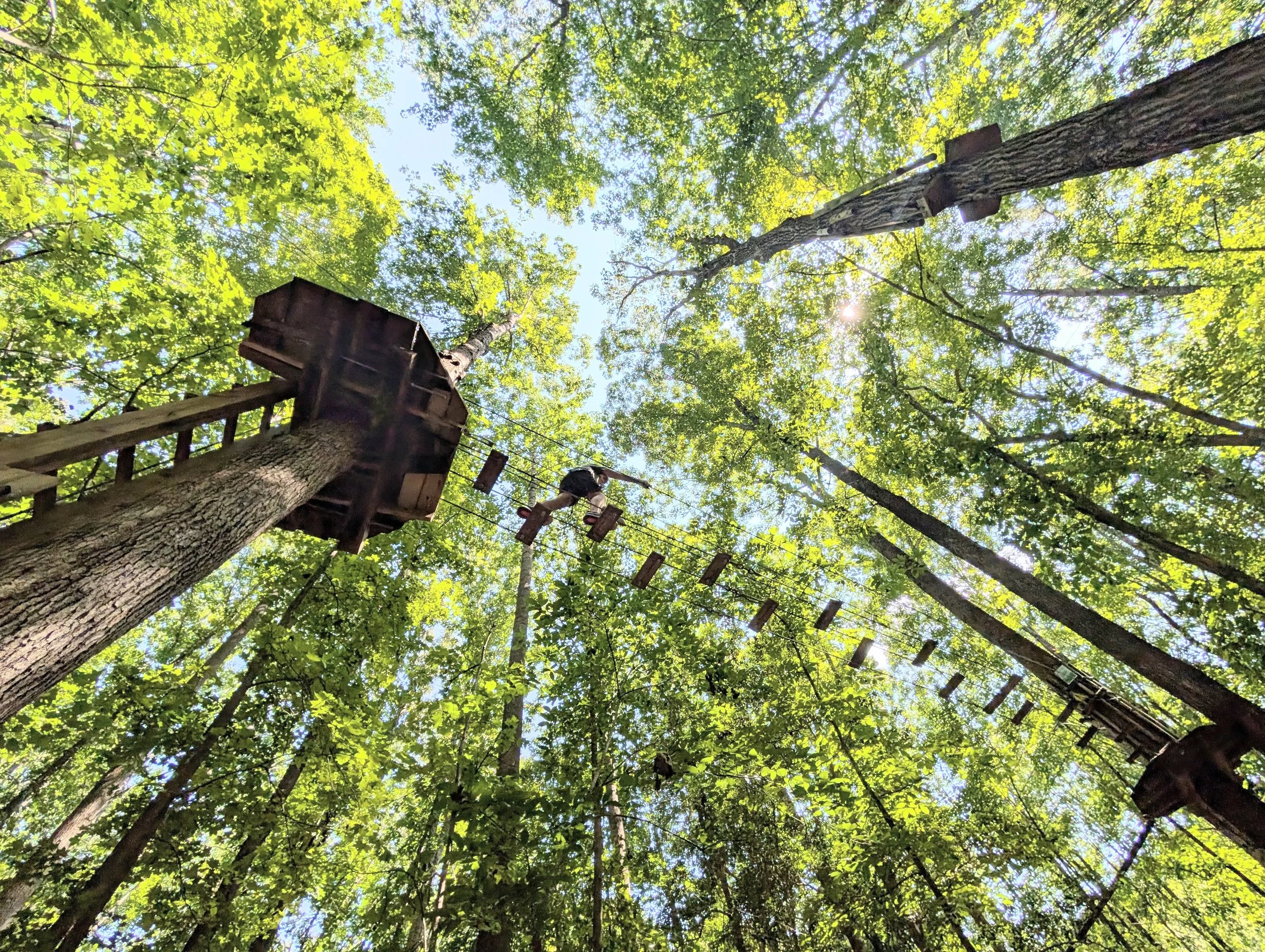 A person crossing a high ropes course in a dense green forest, with platforms and wooden planks suspended between tall trees.