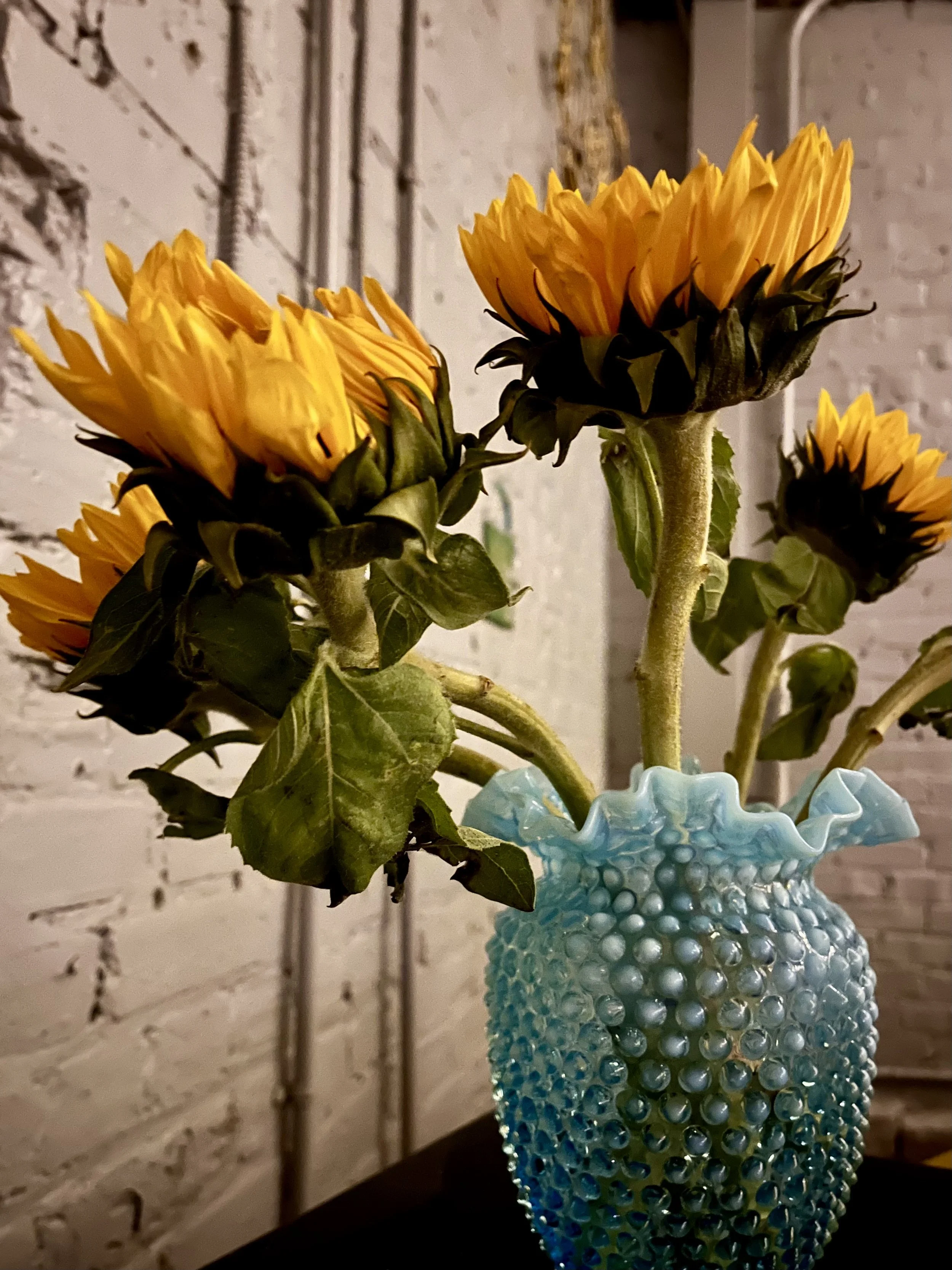 drink. your.. ovaltine? a crummy  commercial?!