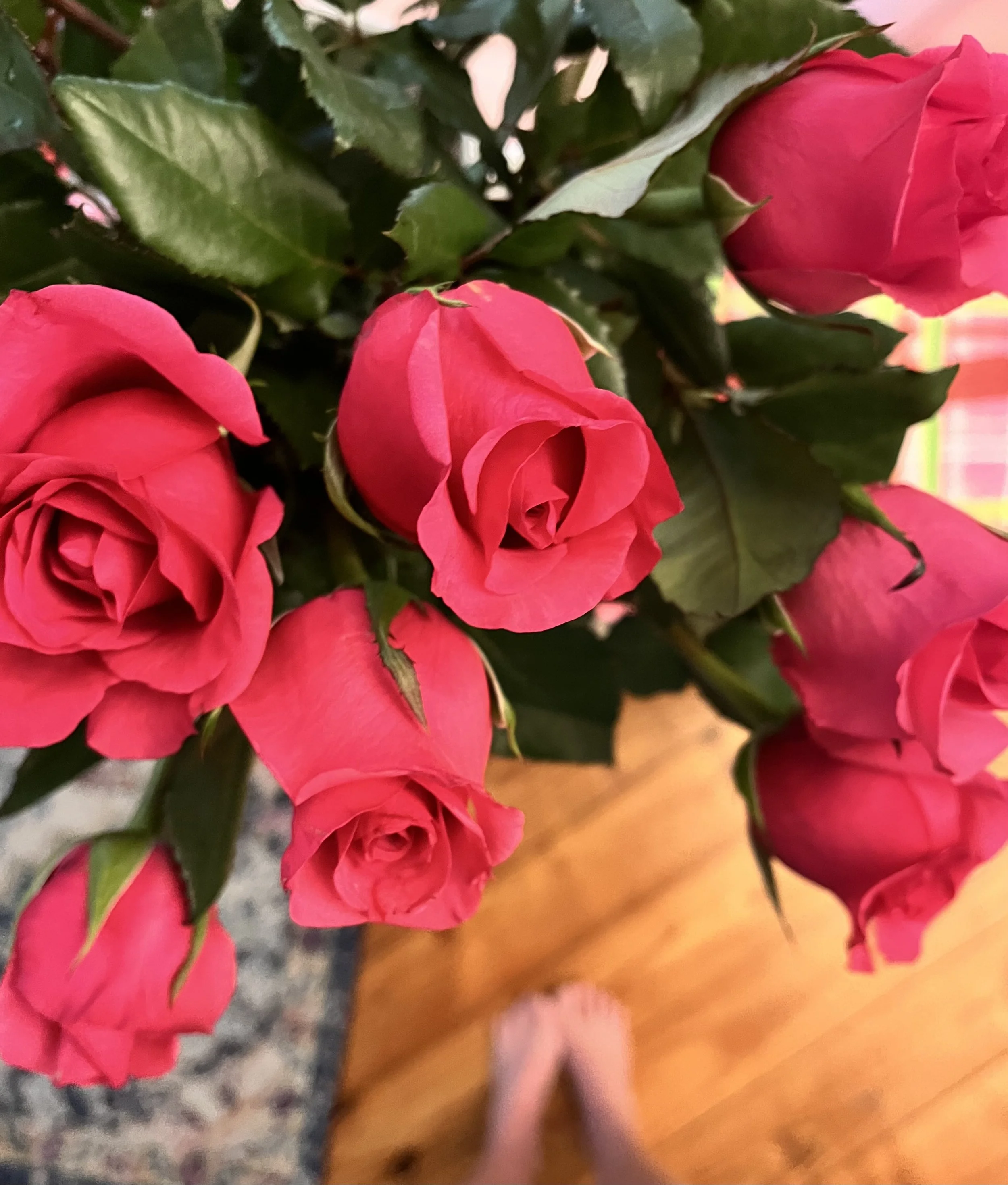 roses? for me?!