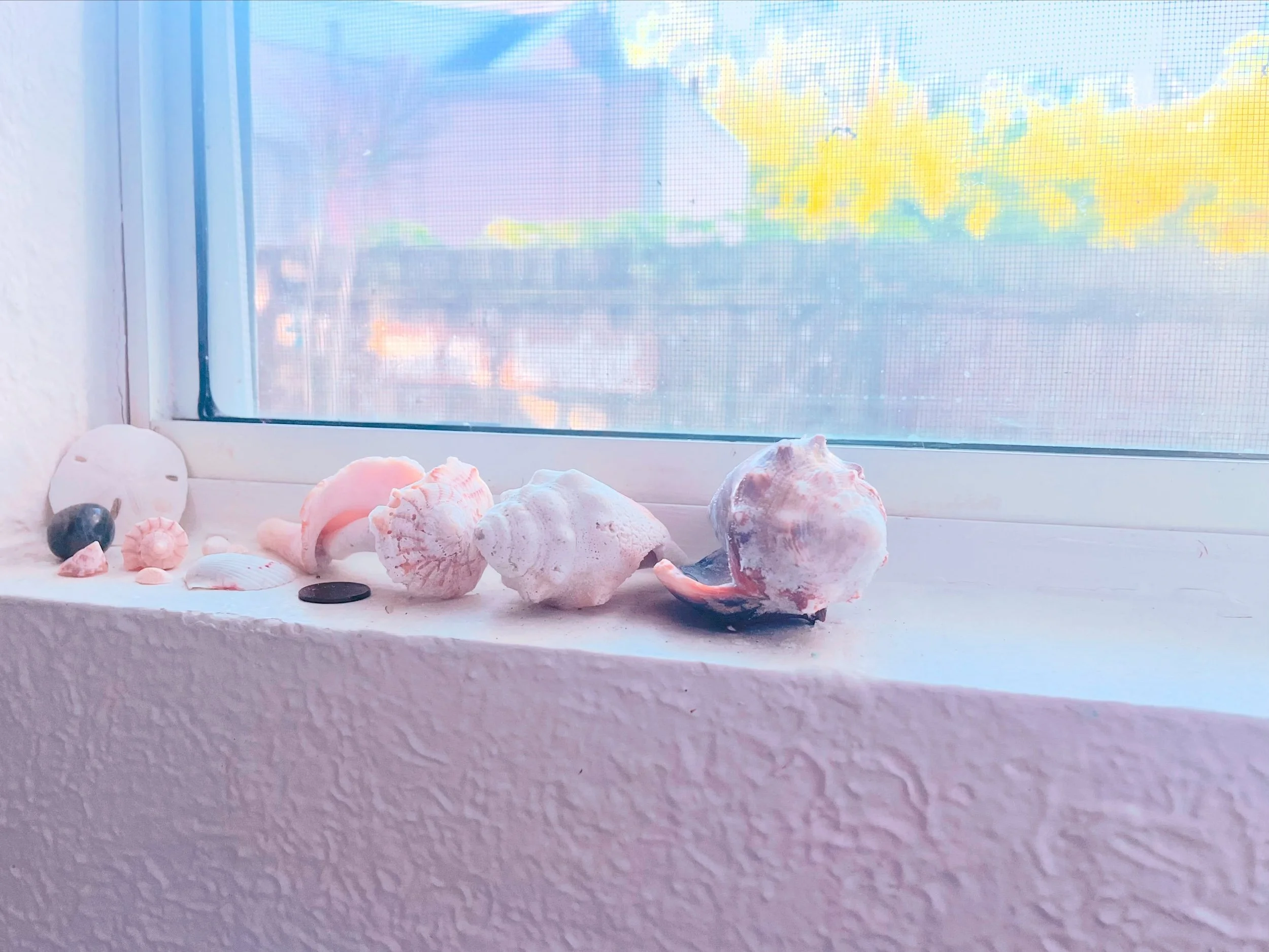 tell me you Live by the sea,
without telling me you Live by the sea.
.
tomorrow is monthly newsletter day&mdash;
are you signed up yet?
send an email to
artistanniethrasher@gmail.com
to subscribe in Time
for tomorrow's august release
of the Creative 