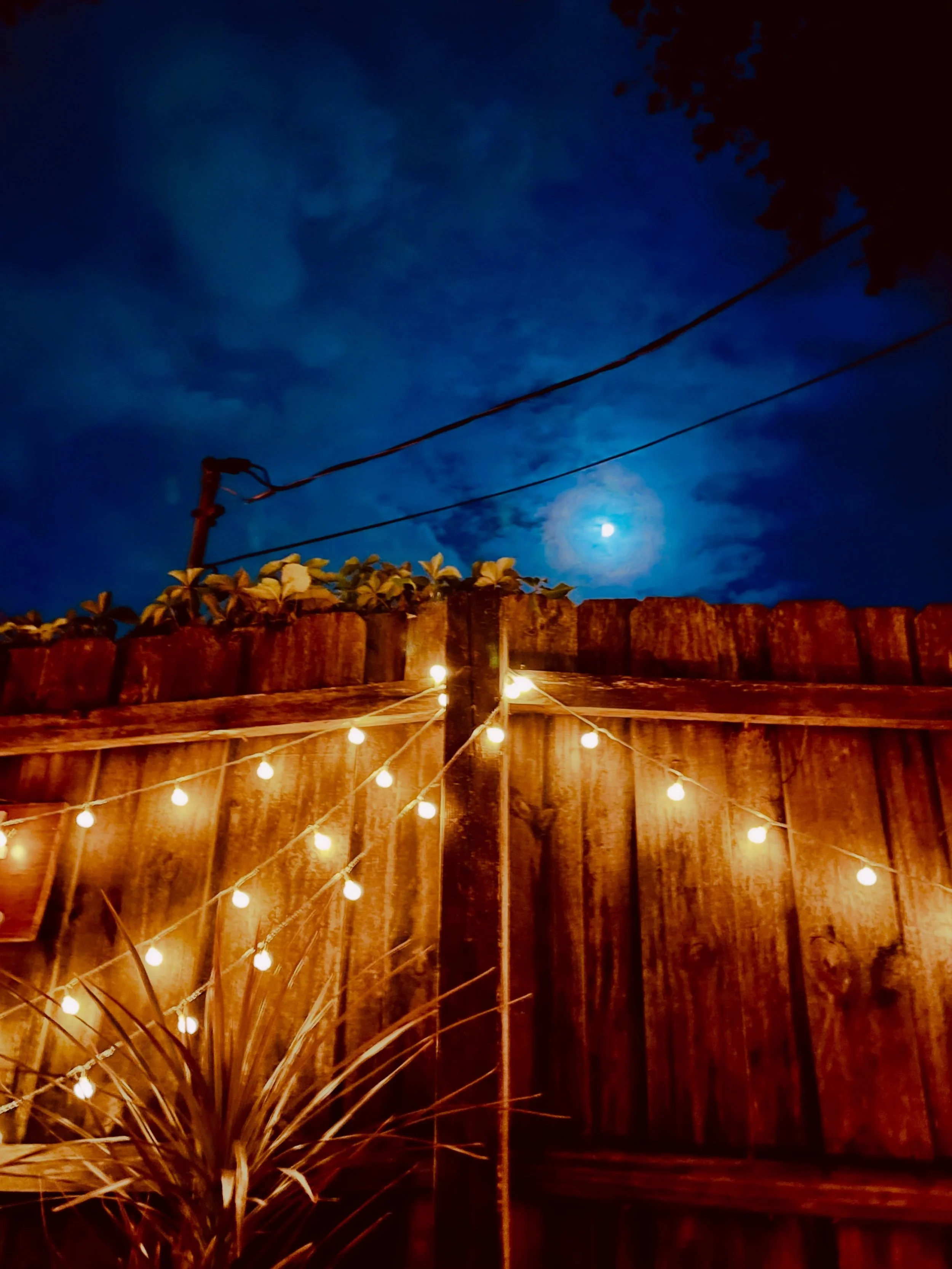looks like Papa
let Vinny-Baby handle
the night sky again tonight.&hearts;
#laluna #paradise