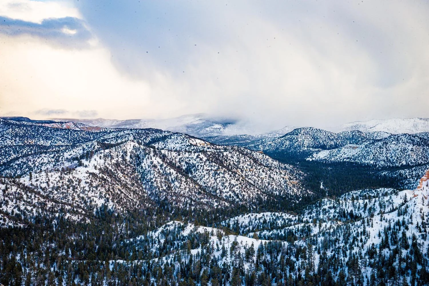 Snow-covered mountain range landscape with pine trees under a cloudy sky.