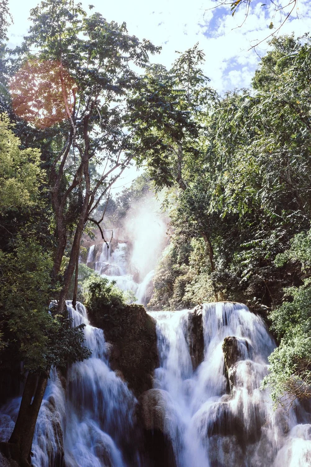 A lush forest with a cascading waterfall surrounded by greenery.