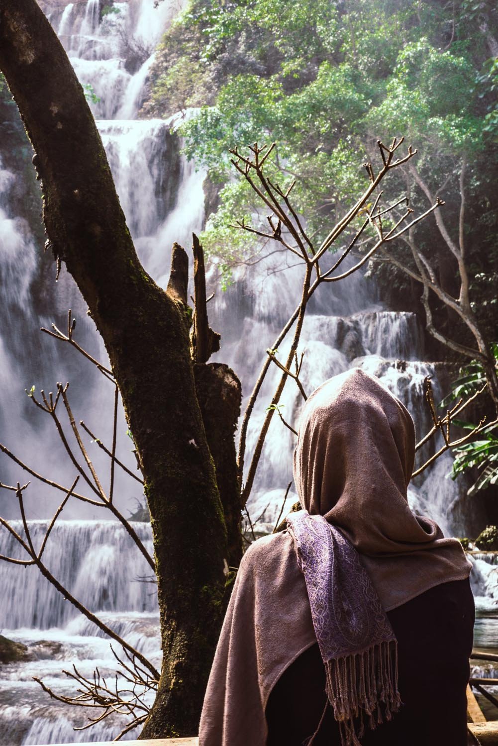 Person in a hooded garment observing a waterfall, surrounded by lush greenery and bare tree branches.