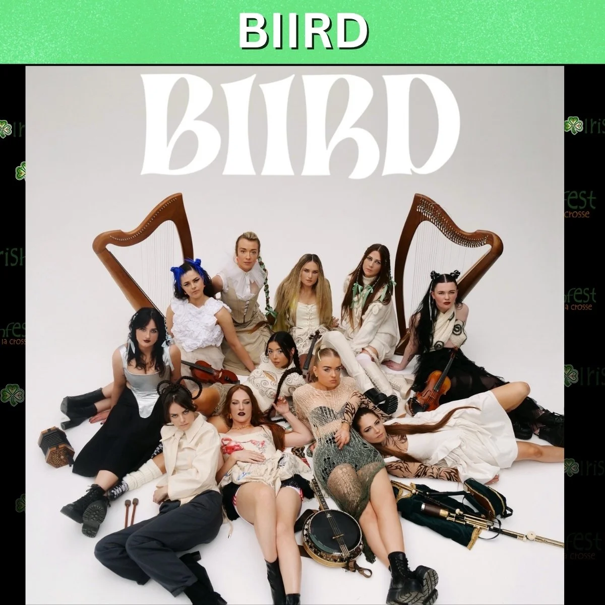 BIIRD2.jpg