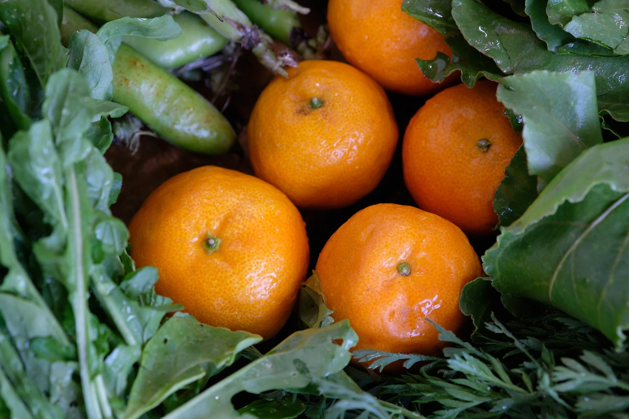 DSCF4856.jpg