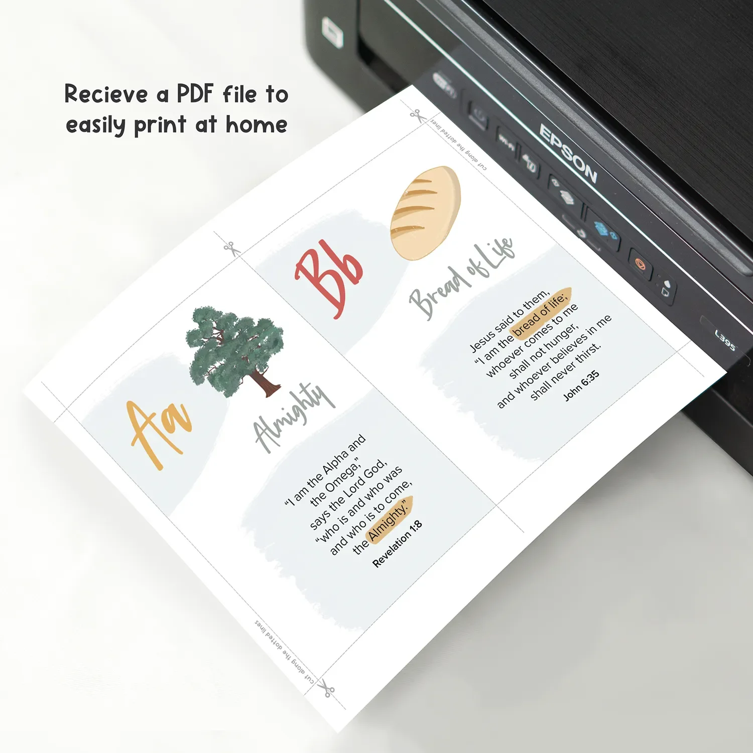 Names Cards Listing Images 7.webp