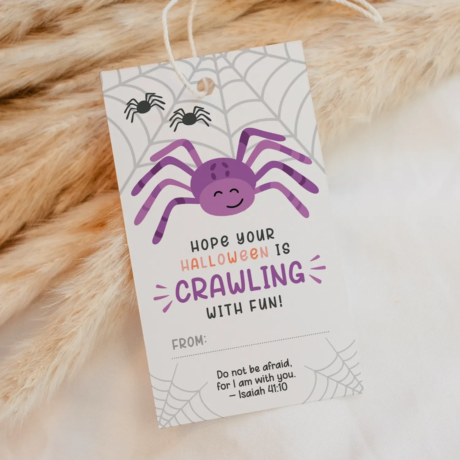 Spider Pumpkin Halloween Tag Listing (2).webp