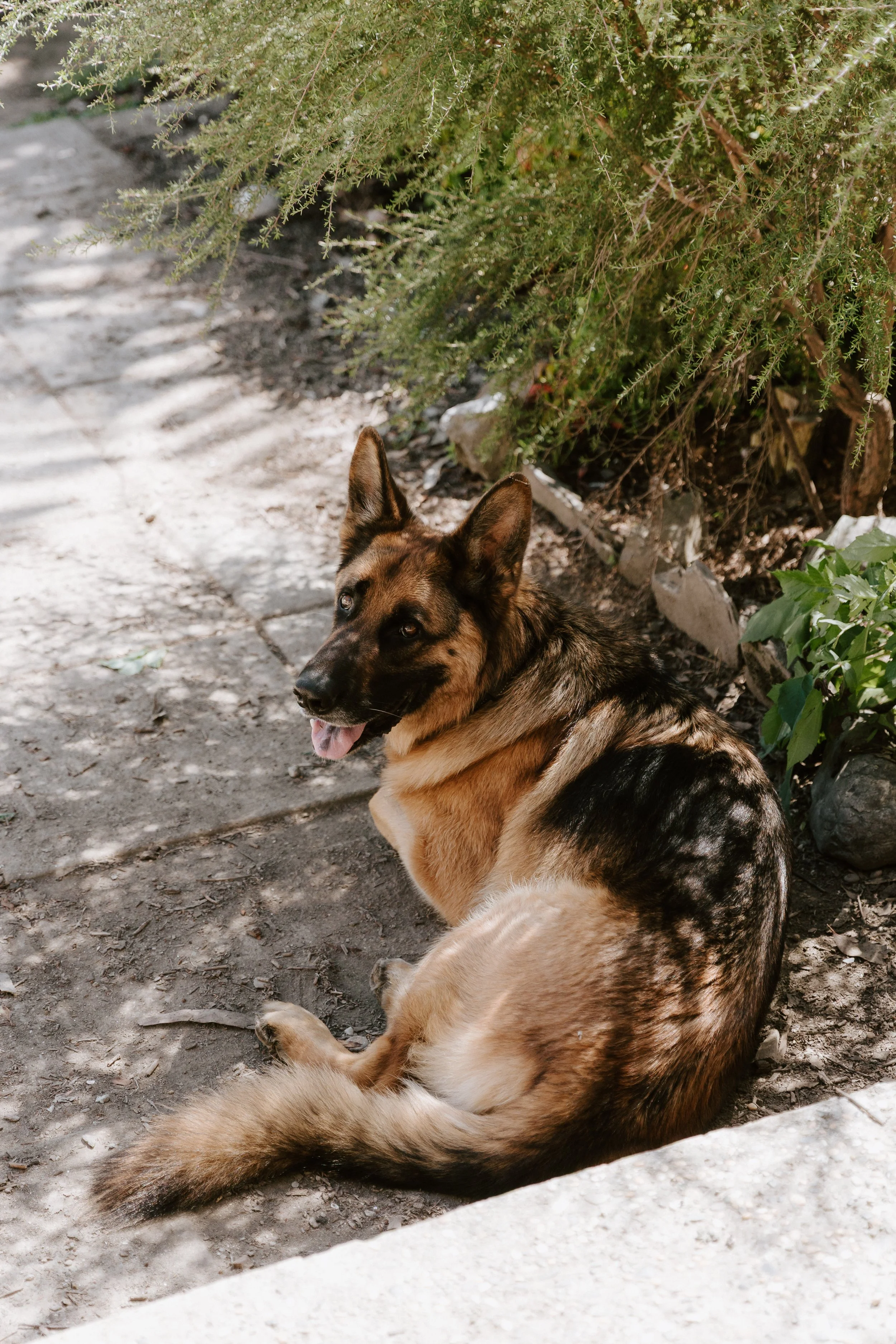 JAKE & JULIE GRL-29.jpg