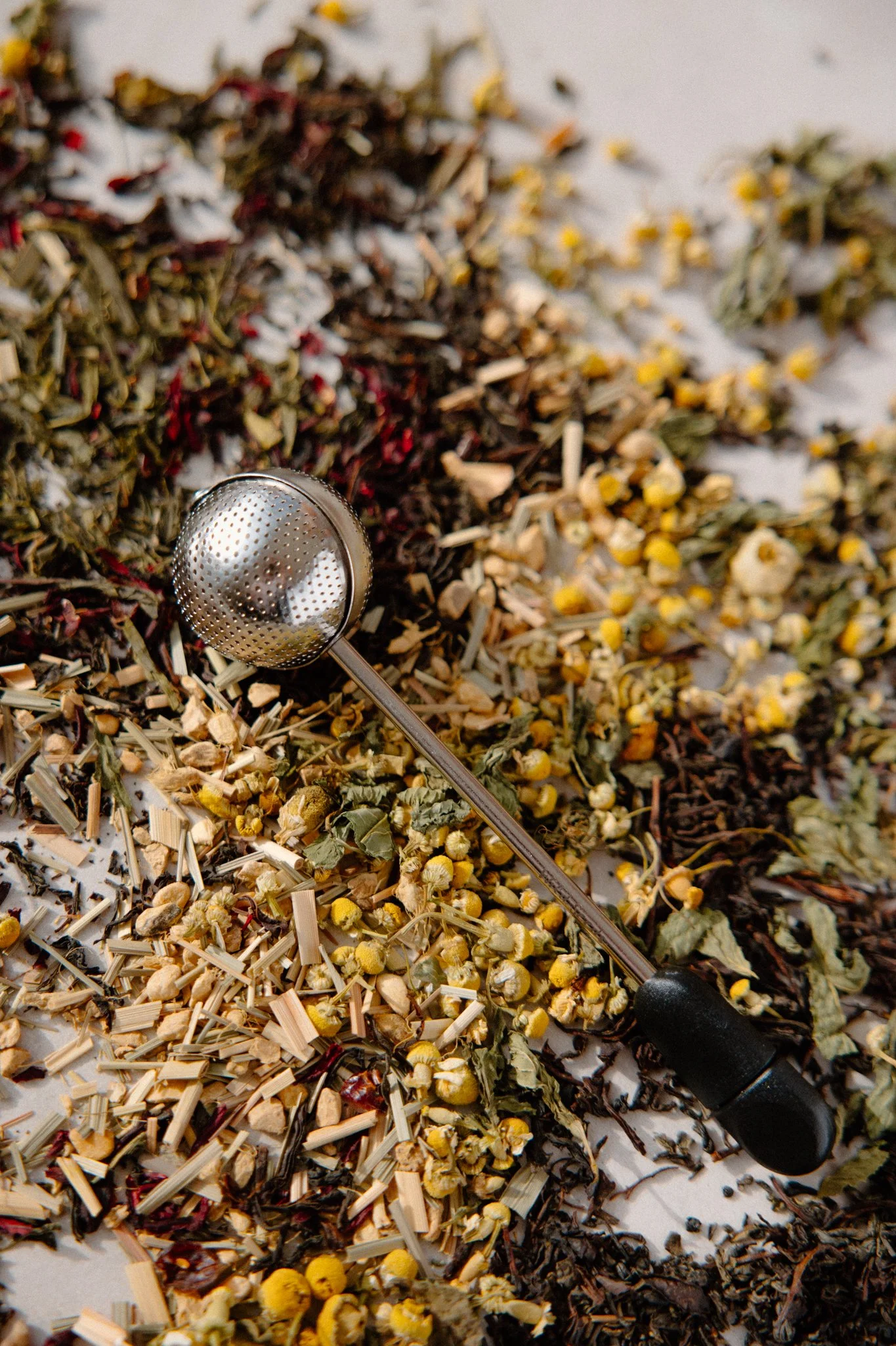Wild seeds-170.jpg