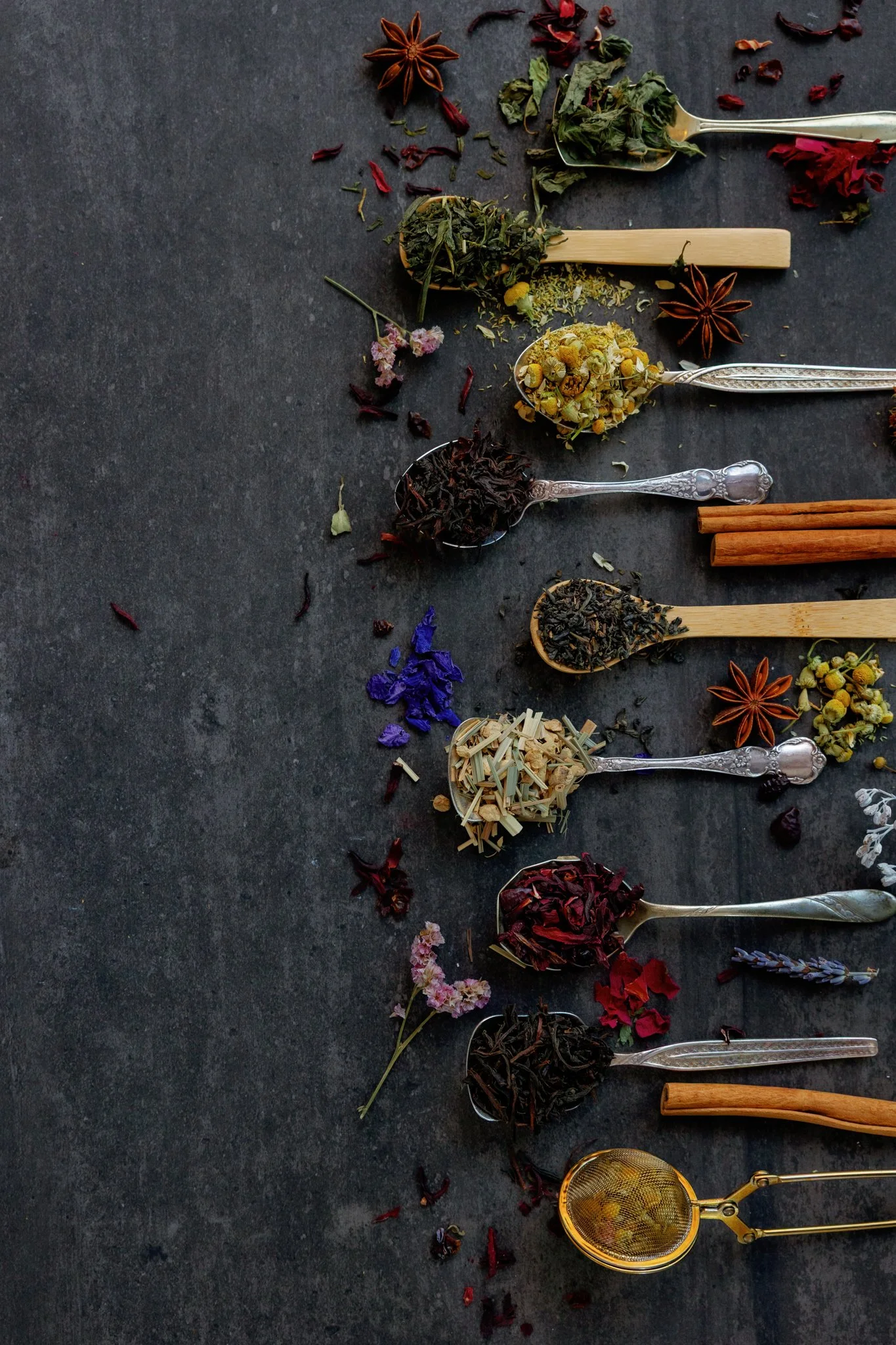 Wild seeds-149.jpg