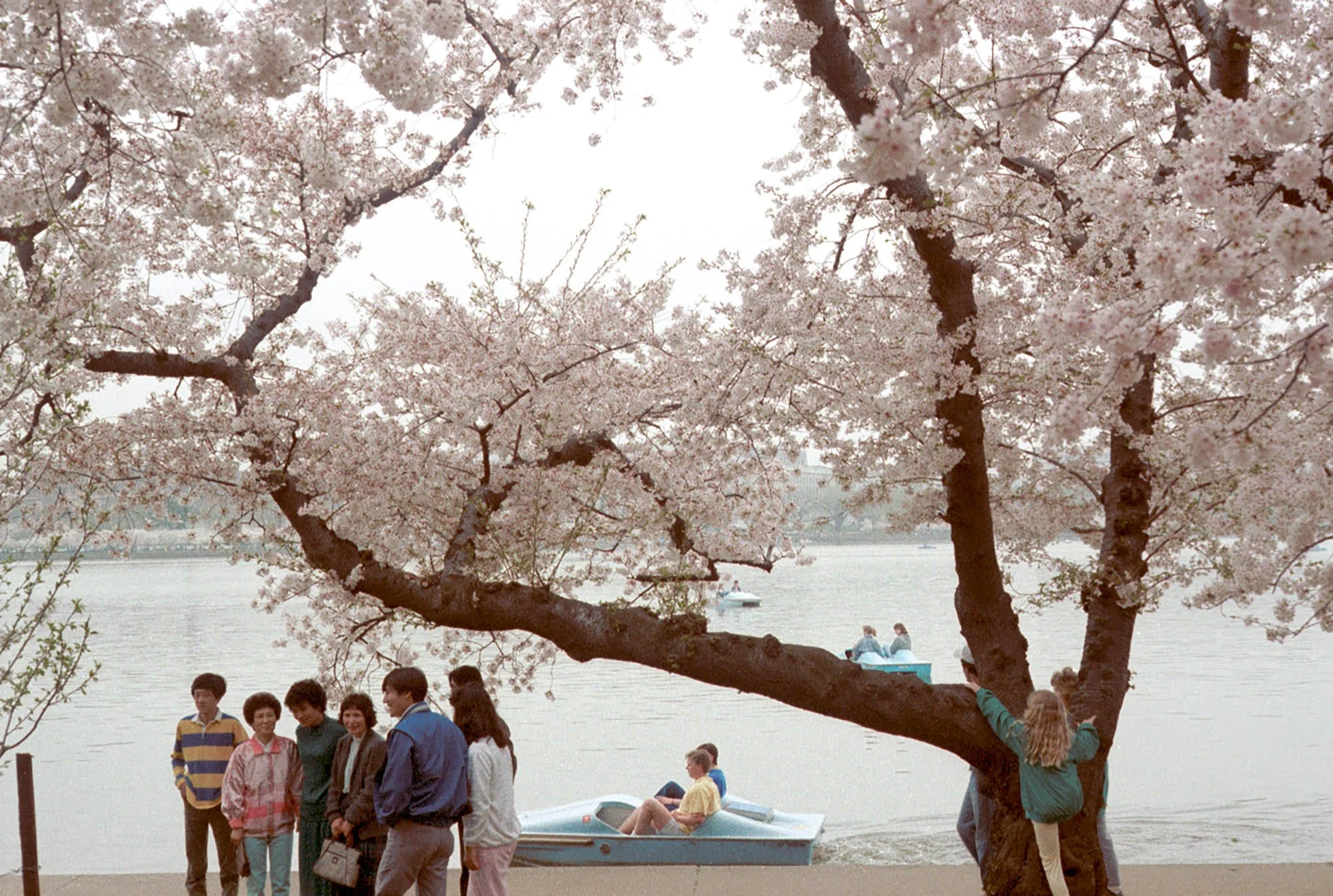 Group, boat, girl 1988