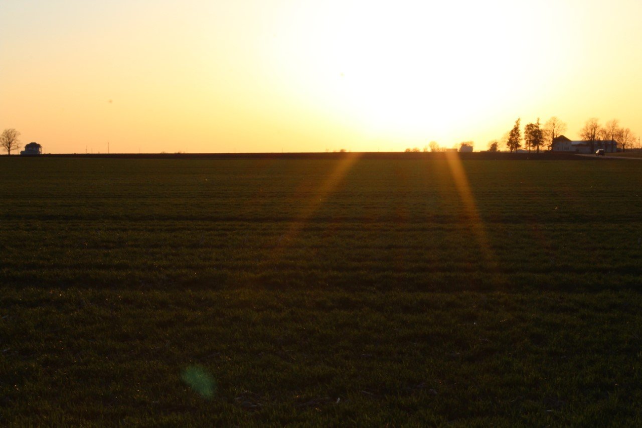 My Backyard — United Citizens of Tazewell County IL