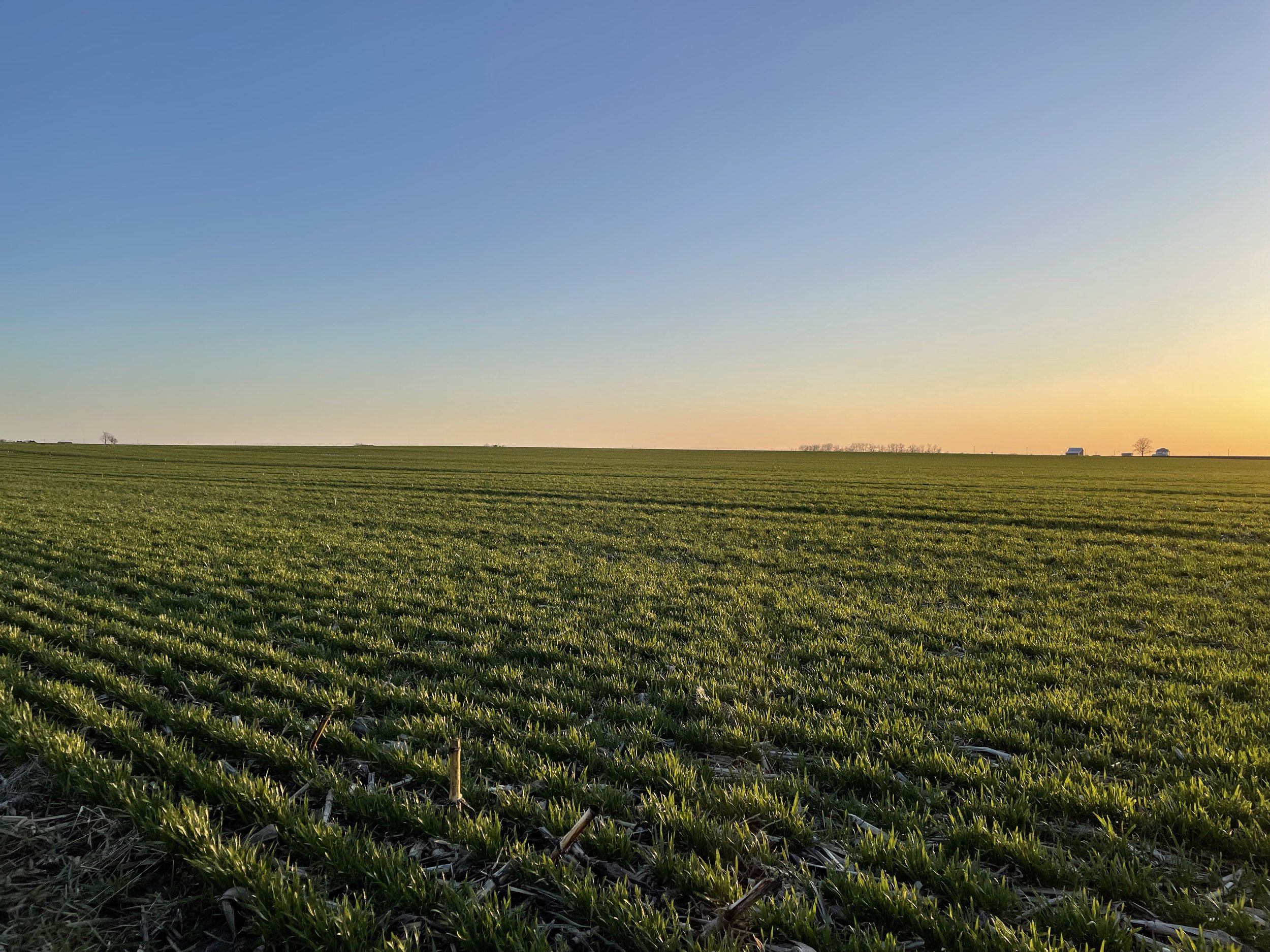 My Backyard — United Citizens of Tazewell County IL