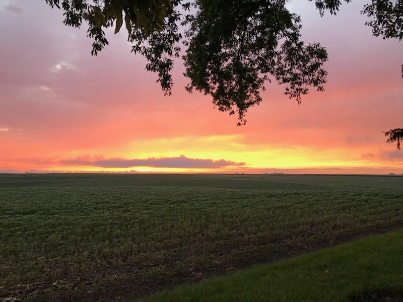 My Backyard — United Citizens of Tazewell County IL