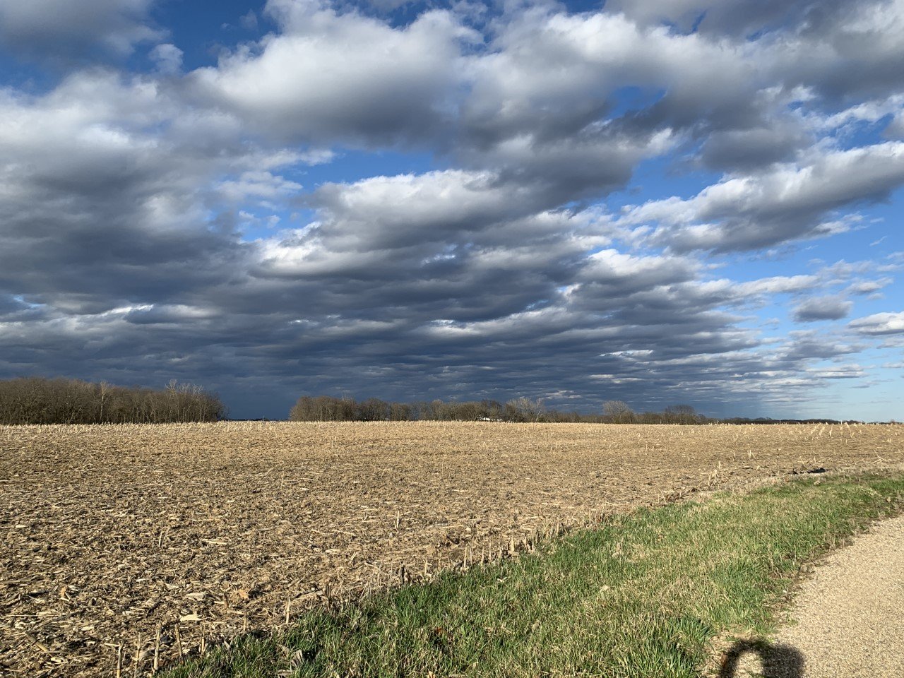 My Backyard — United Citizens of Tazewell County IL