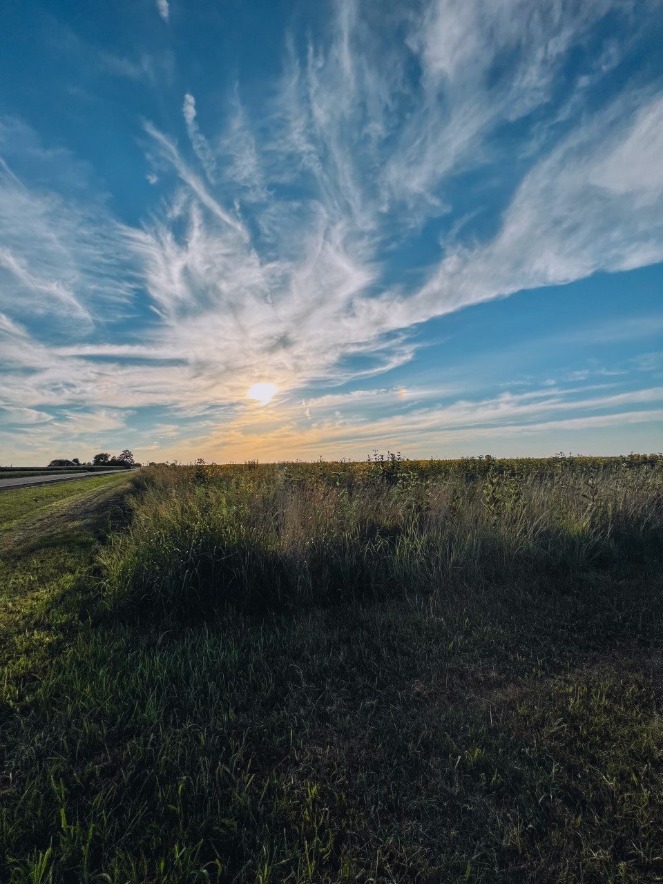 My Backyard — United Citizens of Tazewell County IL