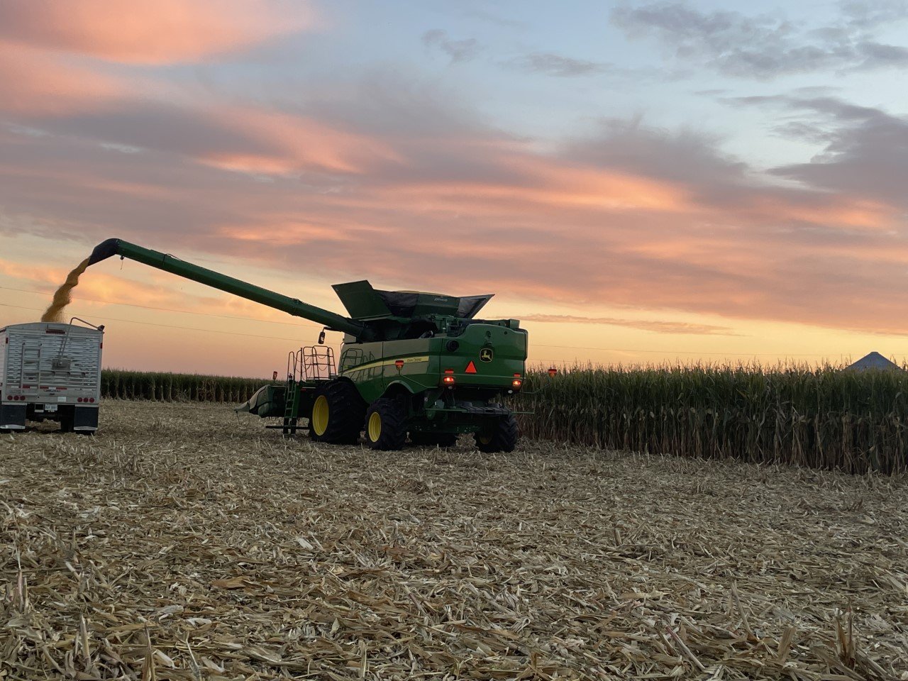 My Backyard — United Citizens of Tazewell County IL