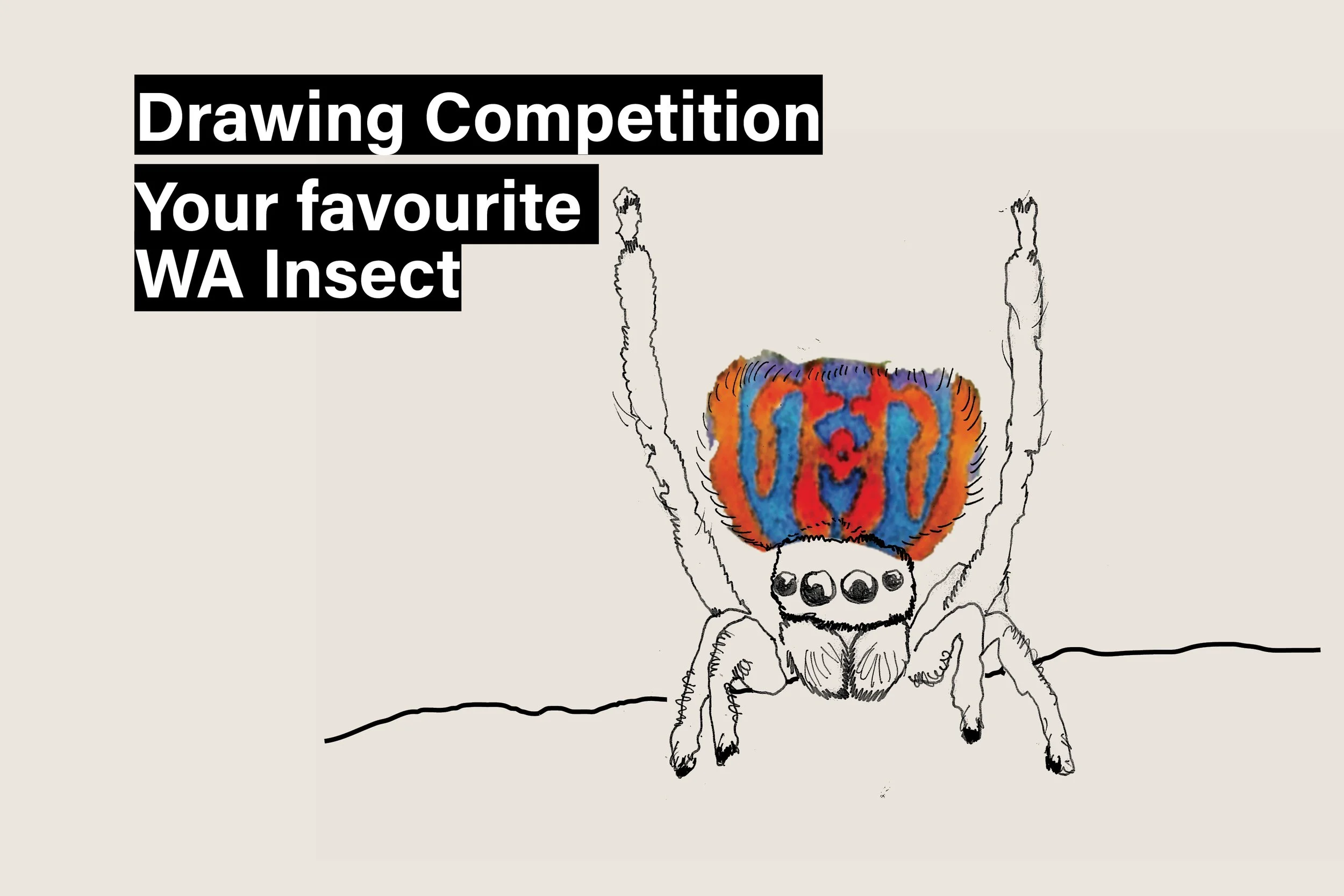 Endemic insects drawing competition