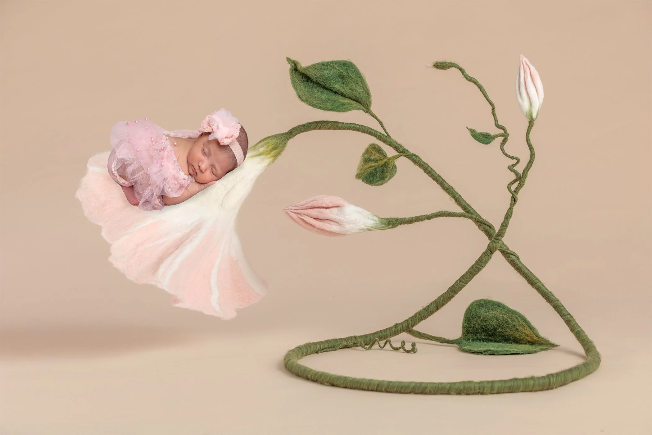 newborn baby girl in a pink dress with a pink headband sleeping in a large pink flower with long green stems