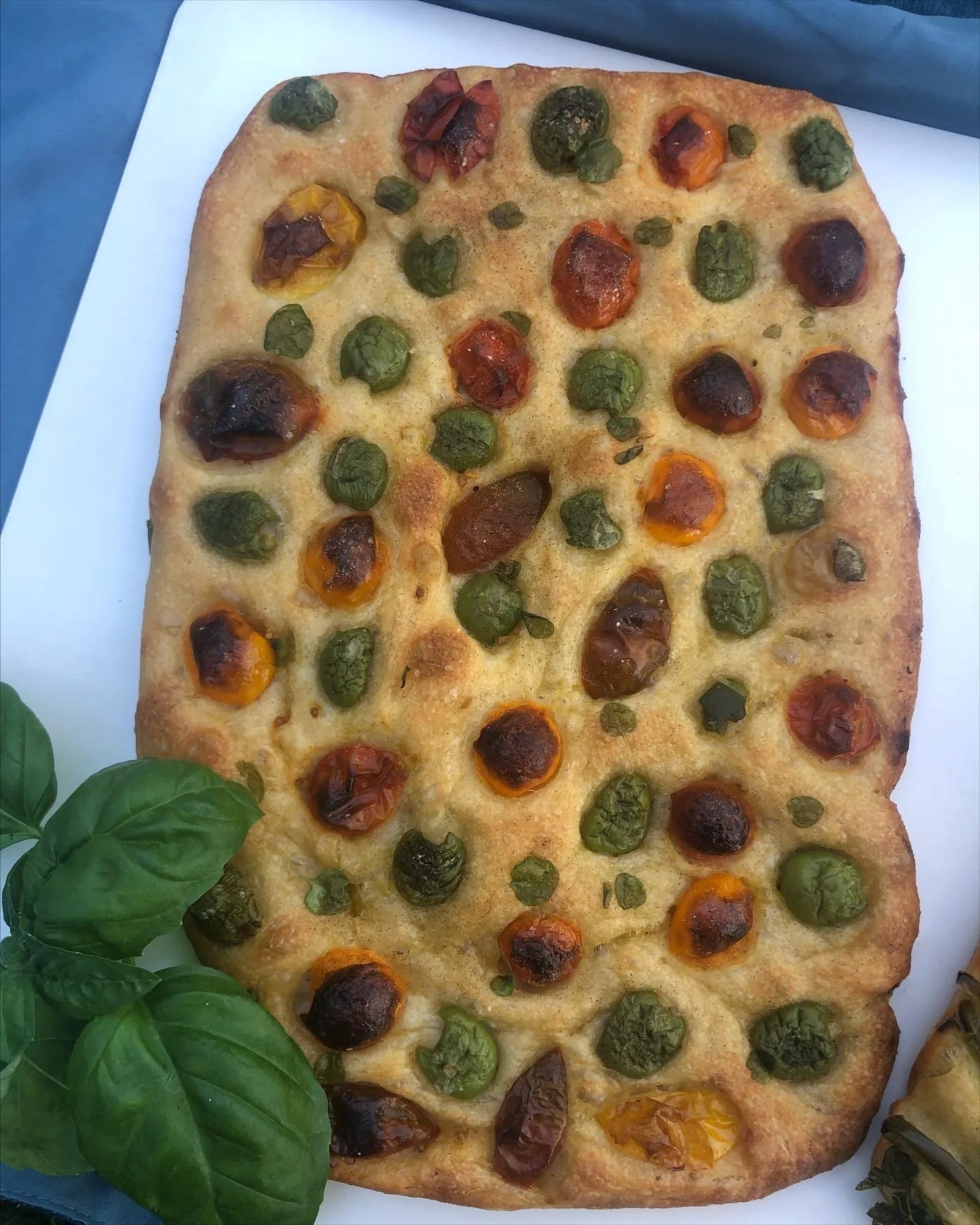 68D82CBB-F24B-4AB6-9FA1-E7E2D66703AC.jpeg (Copy)