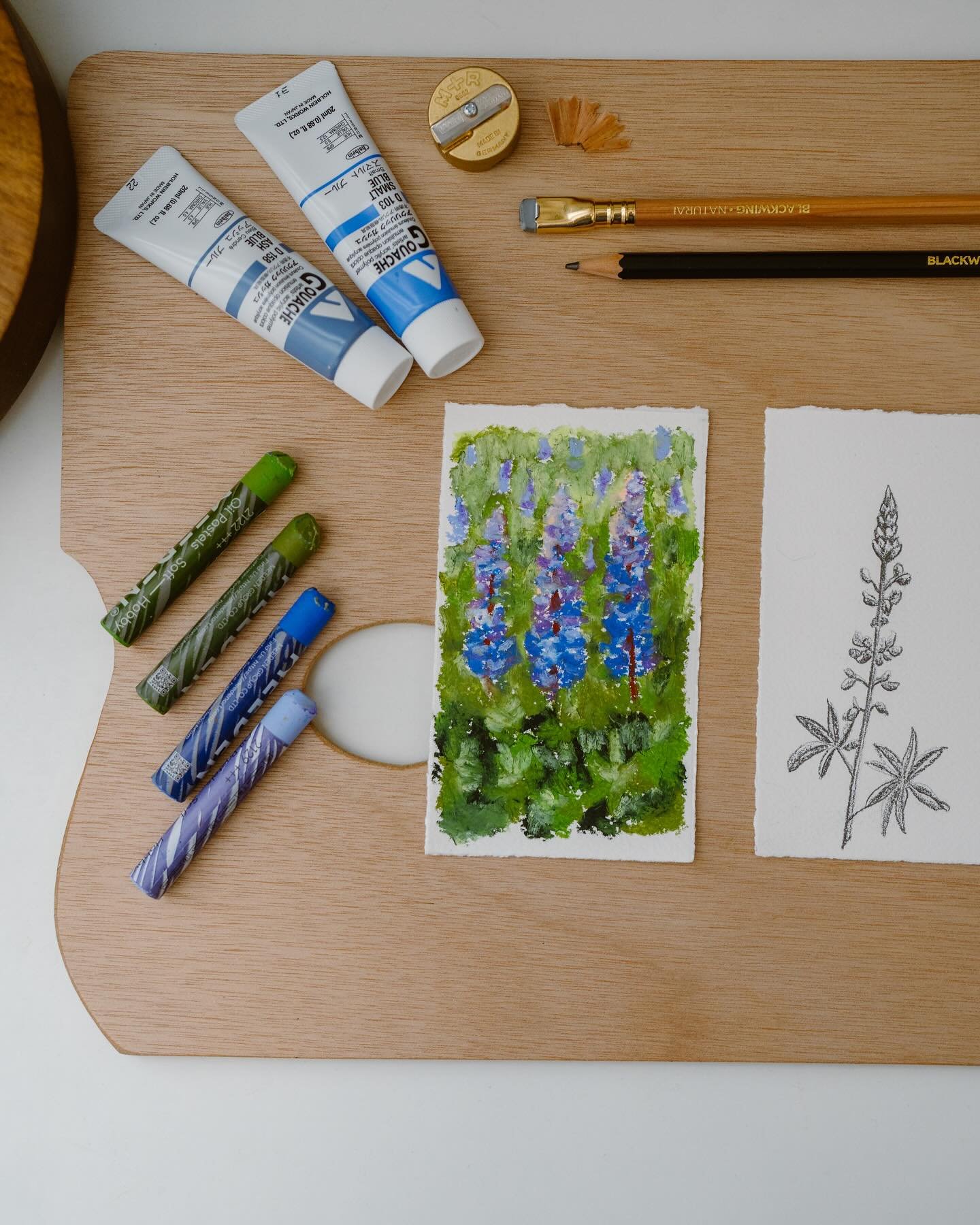 Cozy days in the studio painting/sketching the same botanical with THREE different techniques!

Newest bonus YT video where I did a collab with @laurawatsonartist (check her video out too to see how she paints the lupine flower) Cheers to friends cre