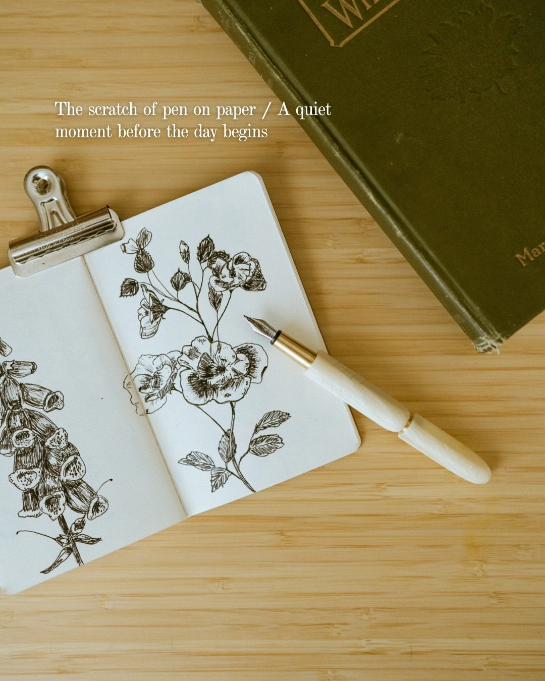 The scratch of pen on paper. A quiet moment. A tool that becomes ritual. 🖋️✨

Loving this Tino fountain pen from @topdrawershop &mdash;it&rsquo;s the kind of thing that makes even the smallest creative moments feel intentional.

Use code JACLYNBAERA