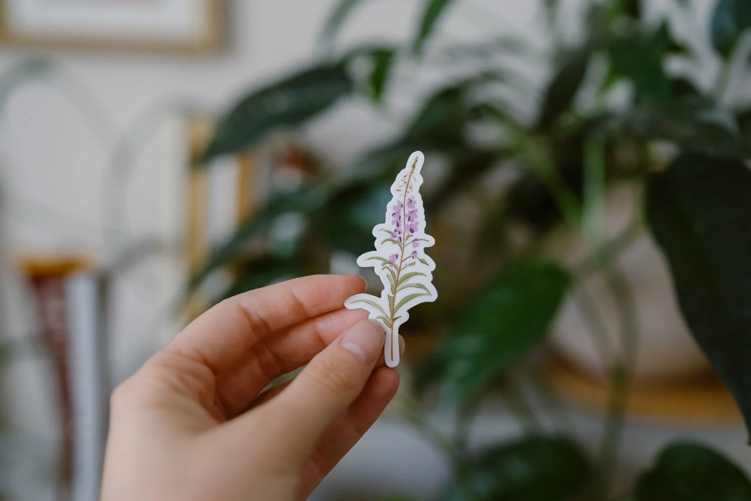 salka-sticker-fireweed-1.jpg