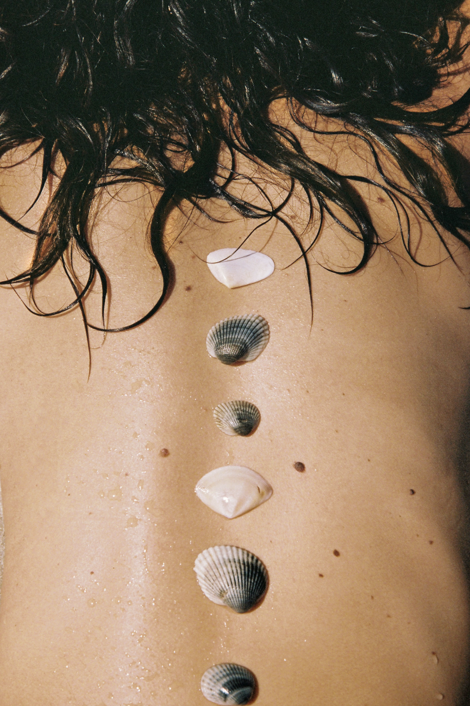 Close-up of seashells lined up on a person's back with wet hair.