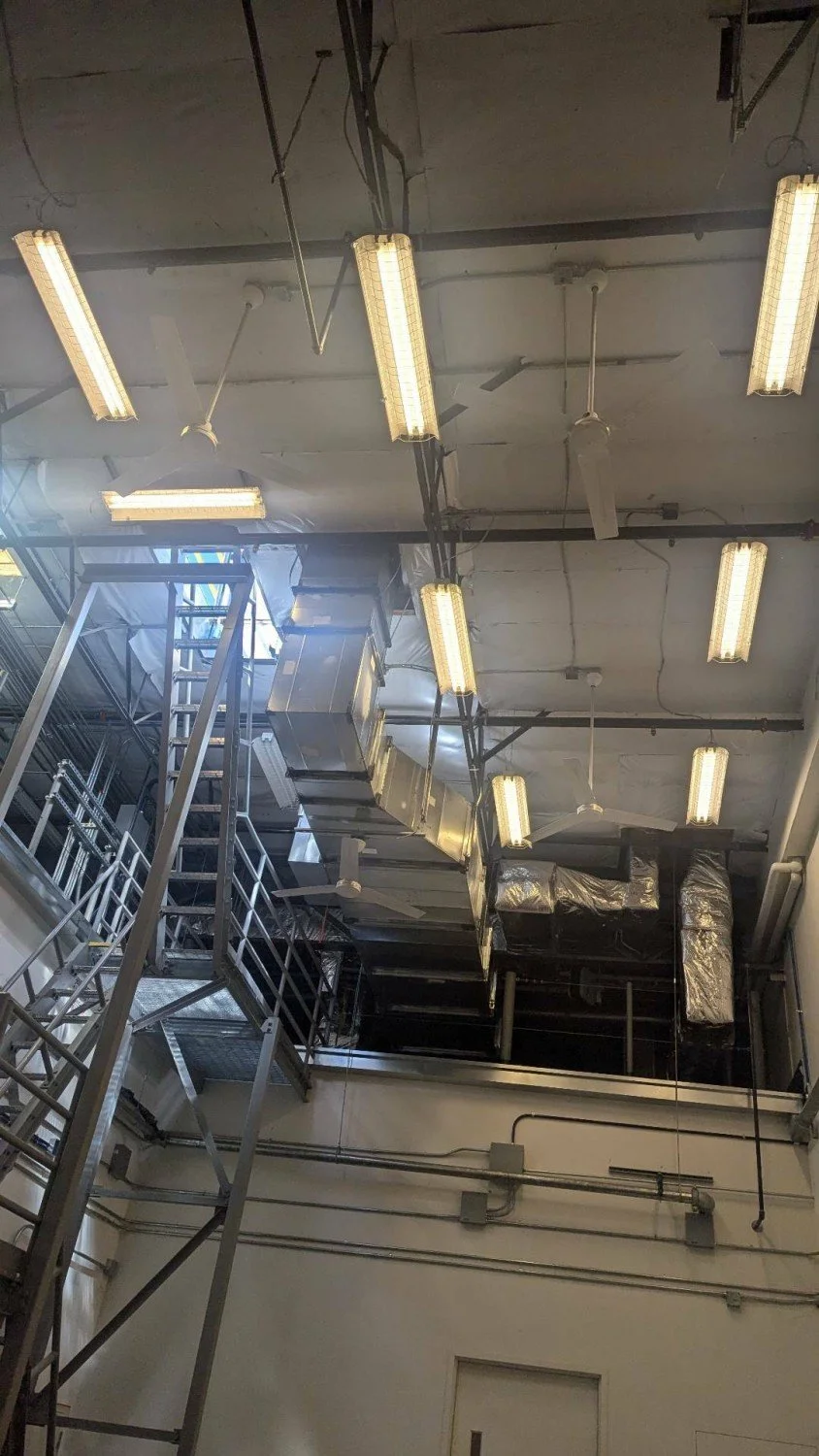 Ceiling Lighting.jpg