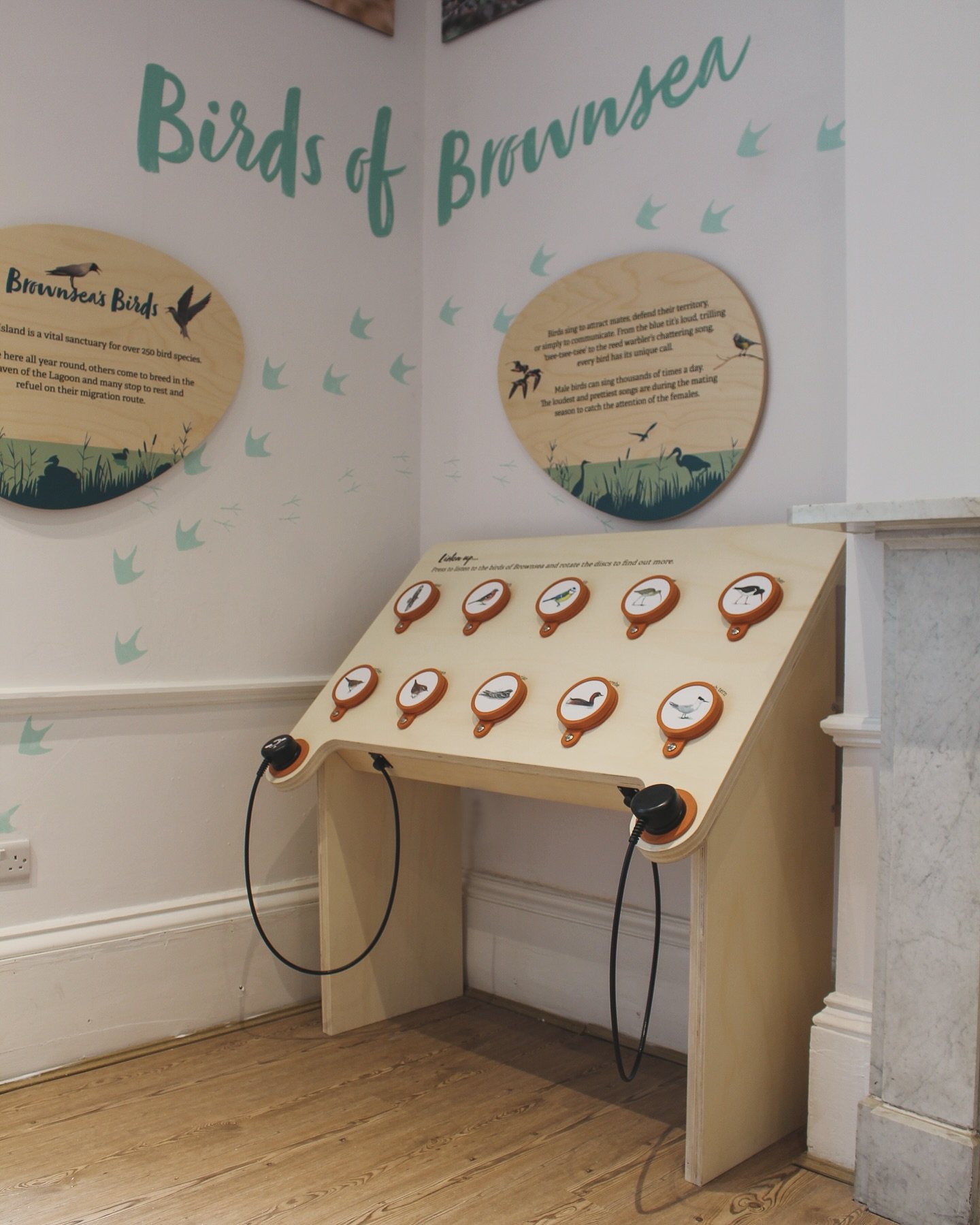 Design and build bird song and fact sound station for the @dorsetwildlife nature lab on Brownsea Island with @delphinejonesillustrator on graphics.

AV equipment supplied by @blackboxav 
#valchromat and poplar plywood from @lathamsltd

Graphics suppl
