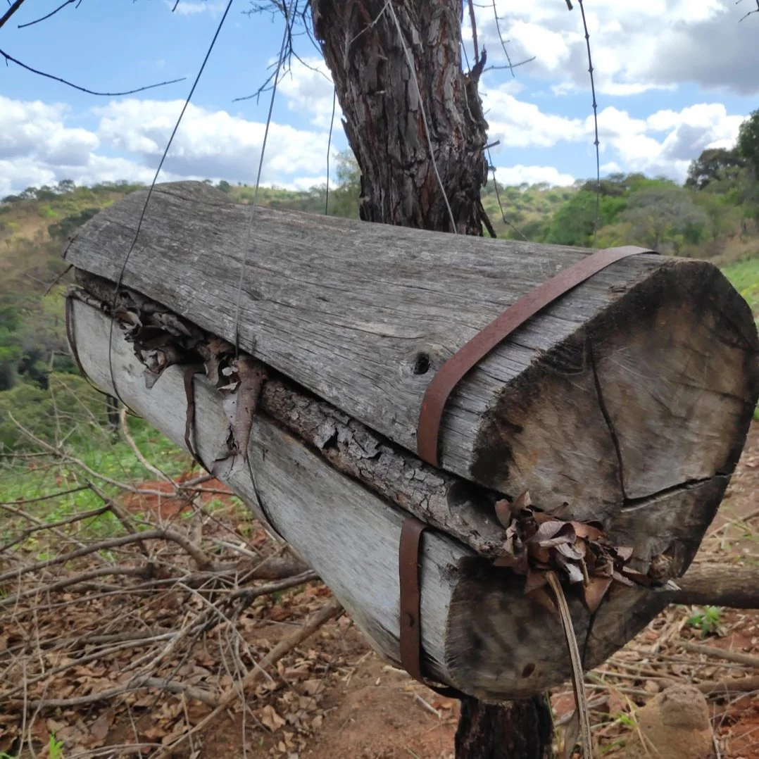 A close-up of a weathered wooden bee hive resting against a tree, secured by metal straps, with a landscape of trees and hills in the background under a partly cloudy sky.