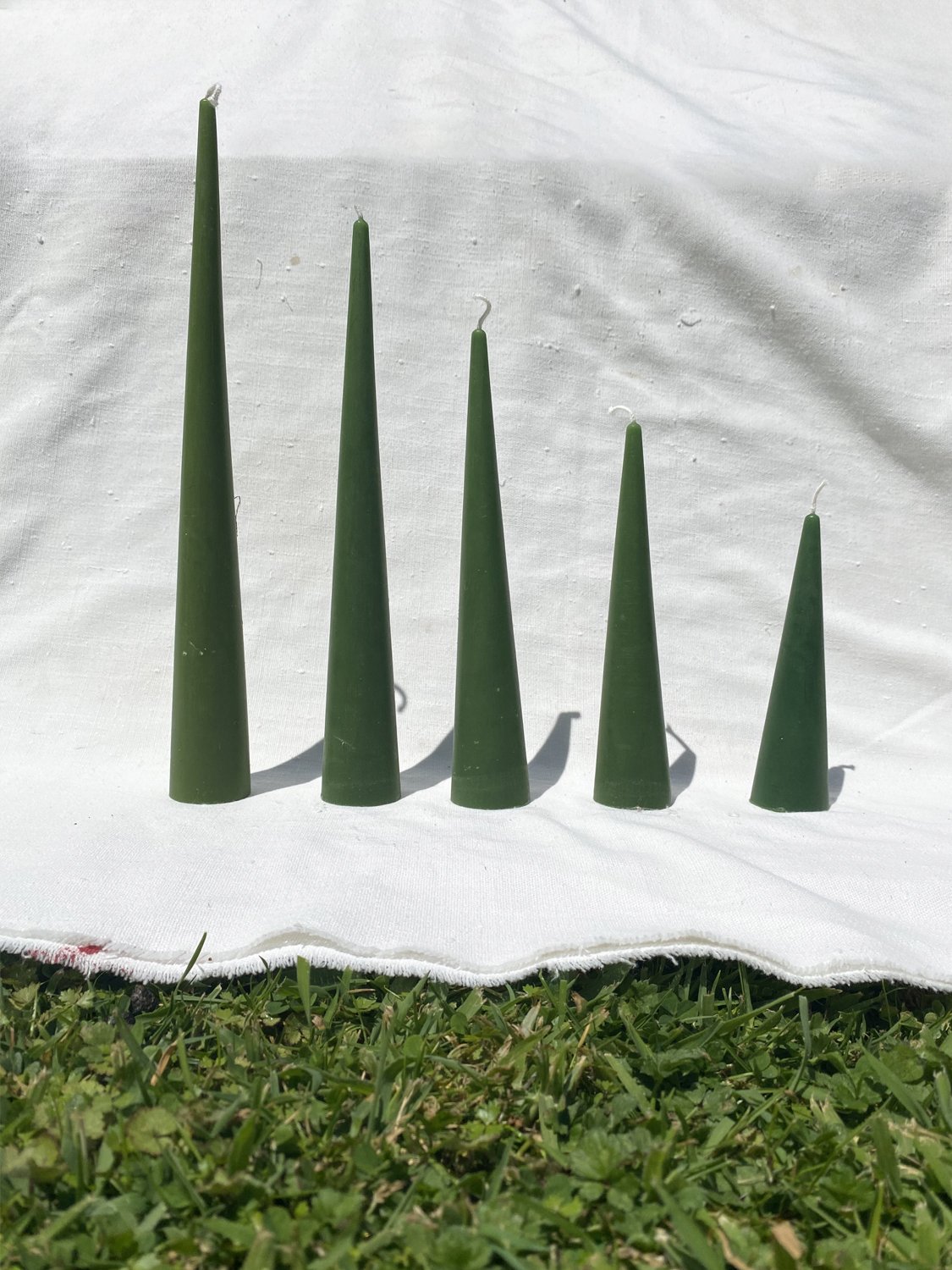 all-size-christmas-trees-candles.jpg