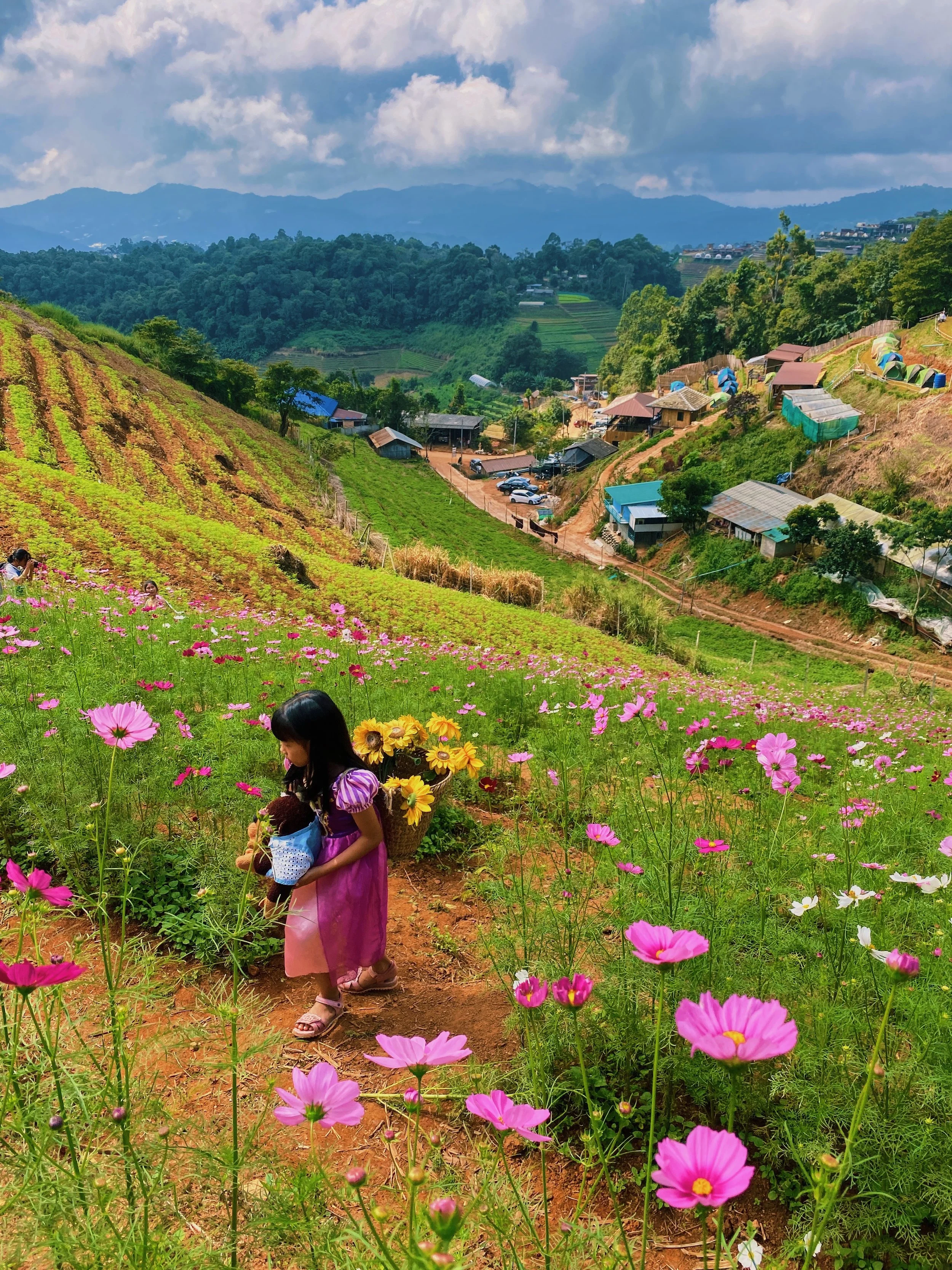 63AE4CBD-E29D-45D0-A28F-48E7FD713D32-A48F83F0-72D6-4519-96FC-436675420E7E 2.JPG