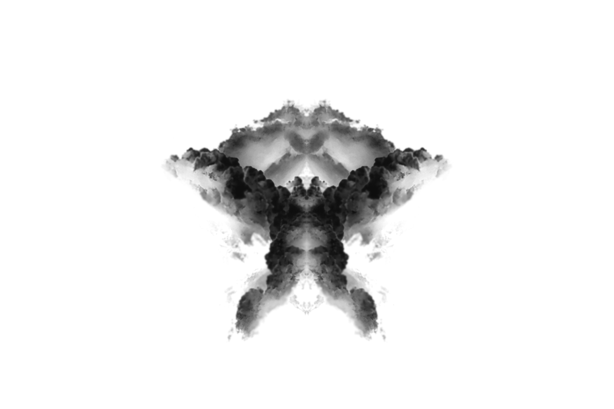 The Rorschach test