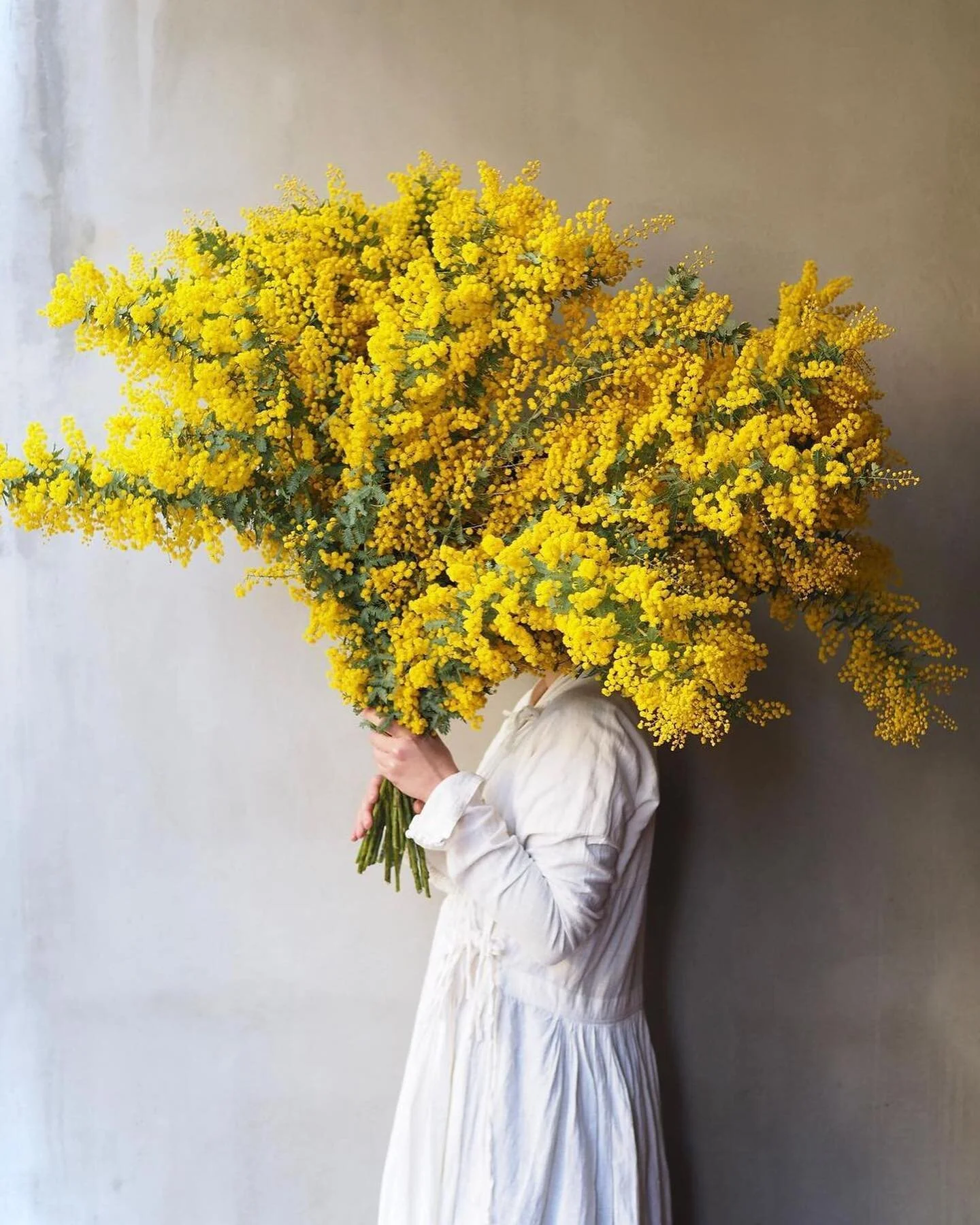 I can buy myself flowers 🌼

inspo @ours_flower