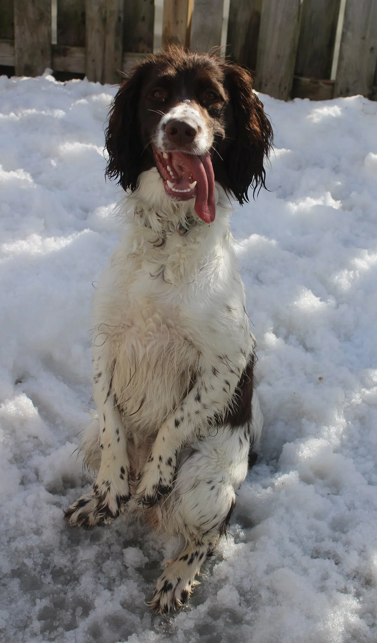 Outdoor play 11.jpeg