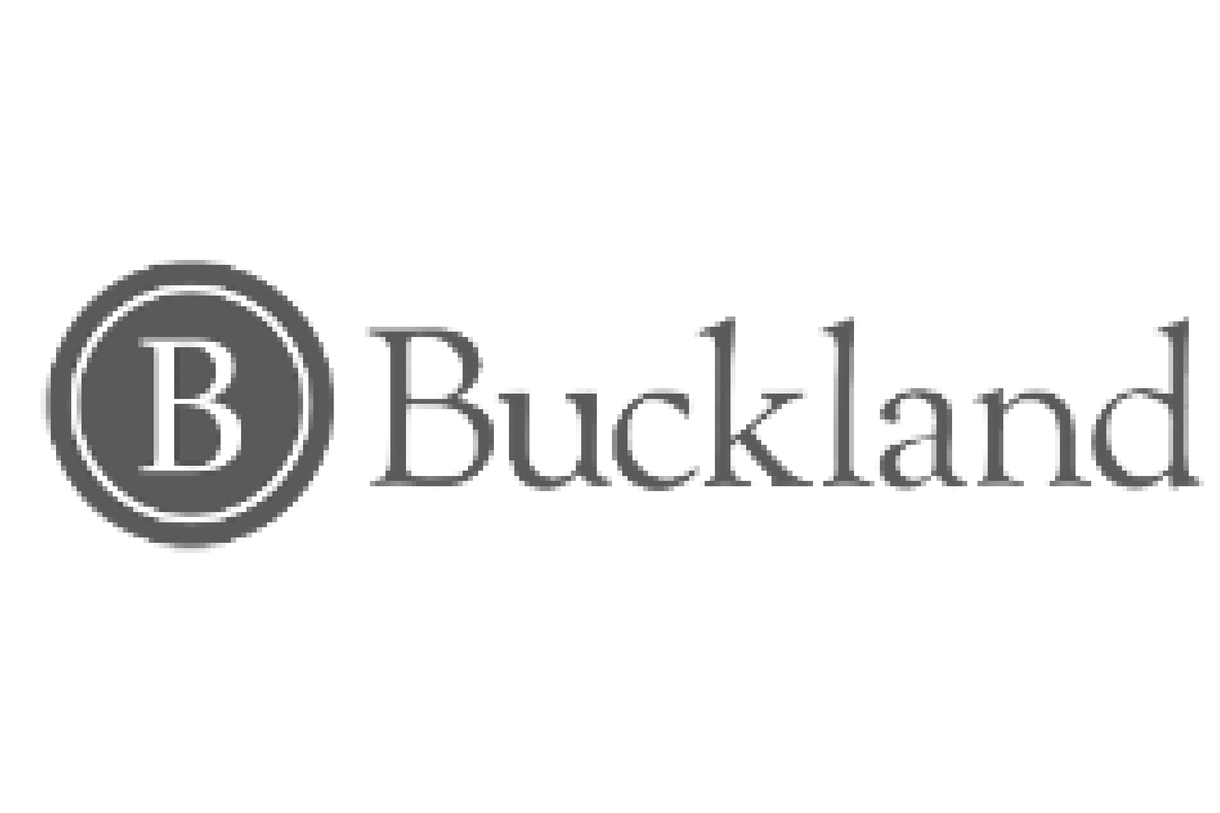 Buckland-Private-Equity-Client-Logo.png
