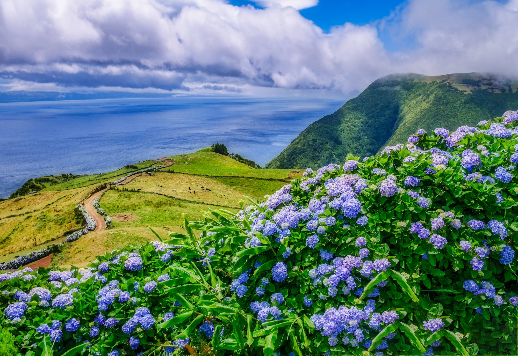 View of the Atlantic from the Azores