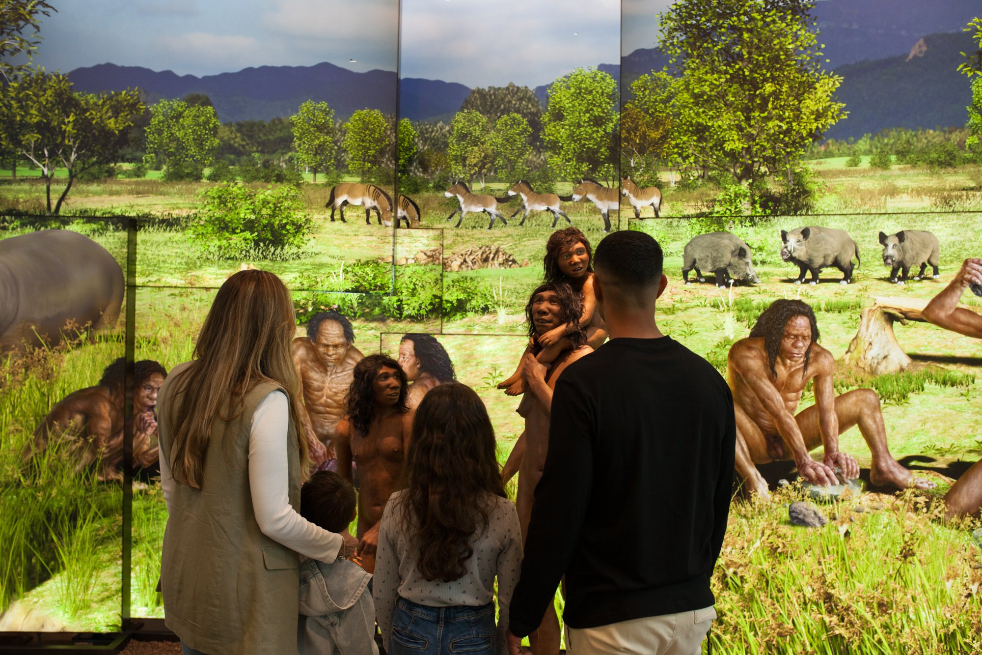 30-mammuthus-barranc-de-la-boella-canonja-spain-paleonthology-museum-ambito-cero-design-paleontologia.jpg