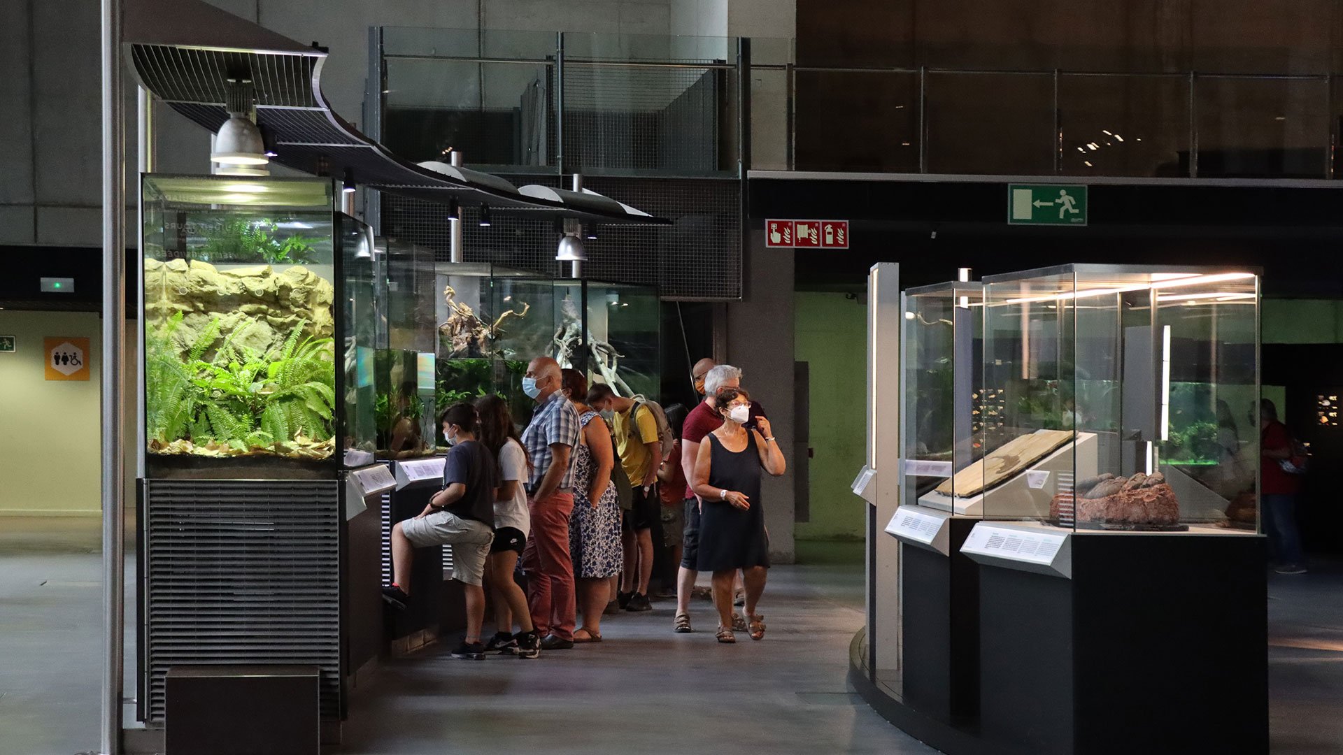 09-la-sortida-del-aigua-salida-agua-biologia-biology-exhibition-exposicion-cosmocaixa-barcelona-catalunya-espana-spain-evolucion-evolution.jpg