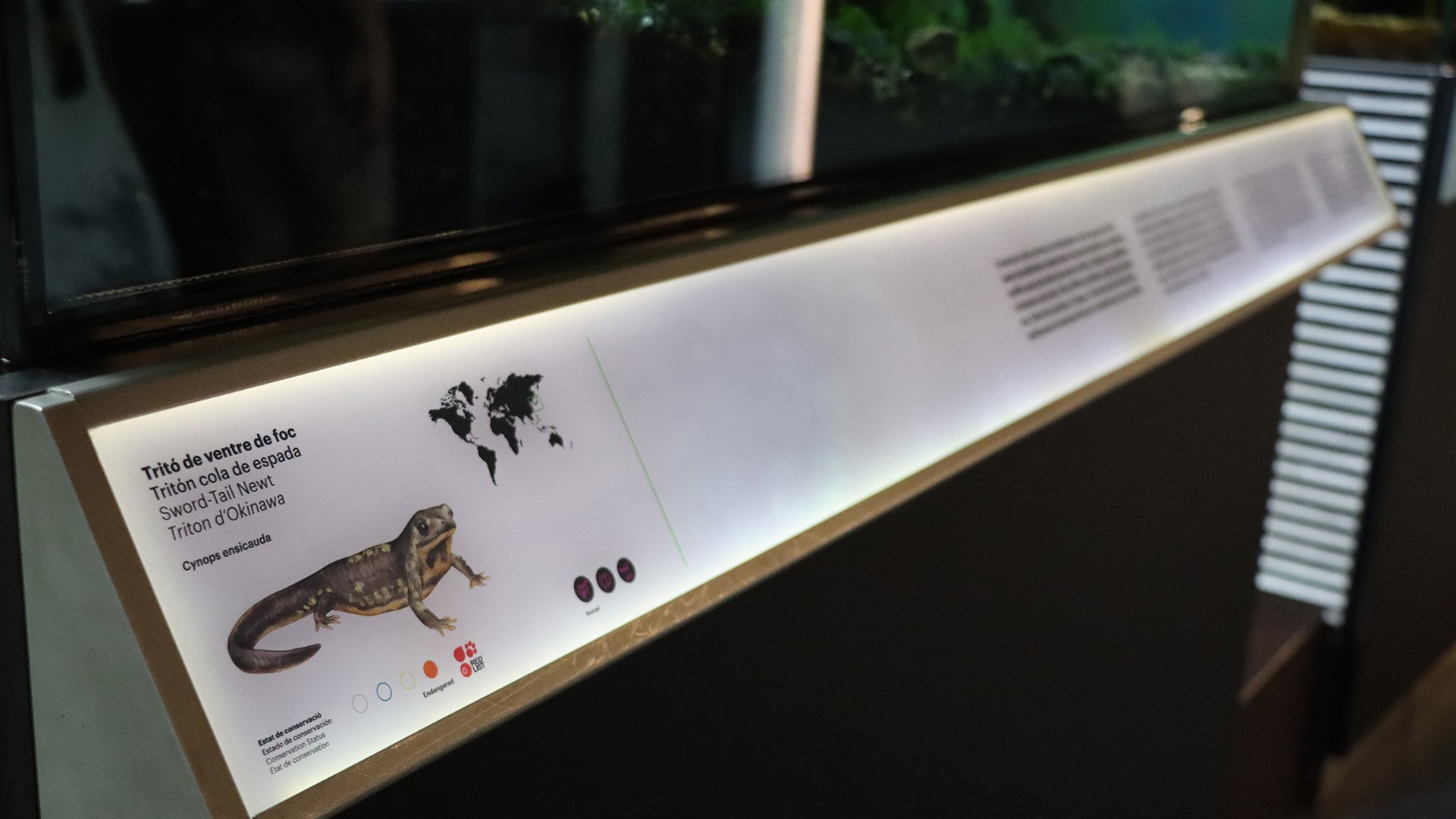 07-la-sortida-del-aigua-salida-agua-biologia-biology-exhibition-exposicion-cosmocaixa-barcelona-catalunya-espana-spain-evolucion-evolution.jpg