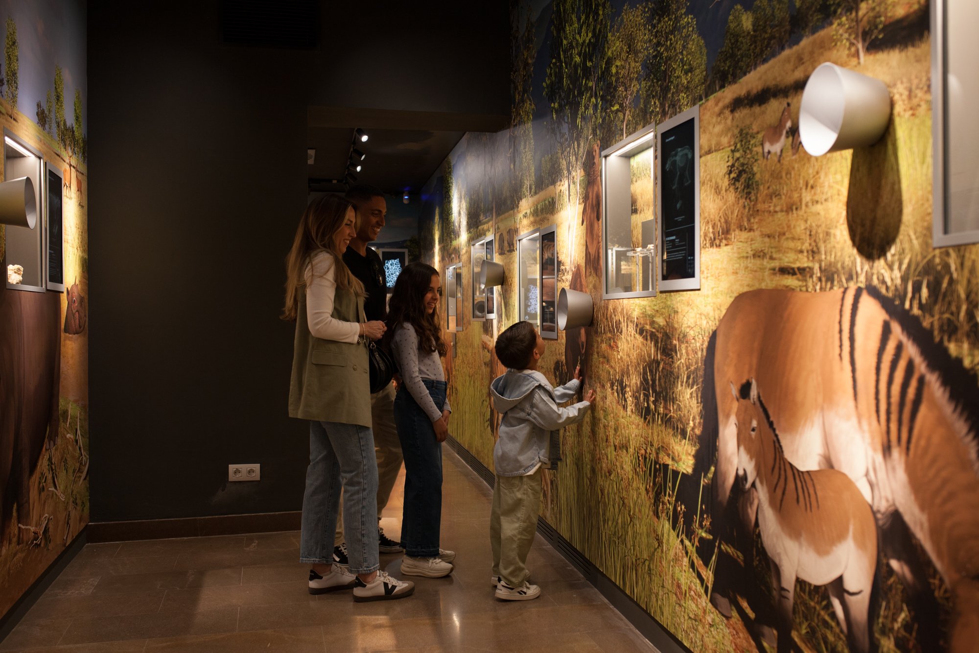 32-mammuthus-barranc-de-la-boella-canonja-spain-paleonthology-museum-ambito-cero-design-paleontologia.jpg