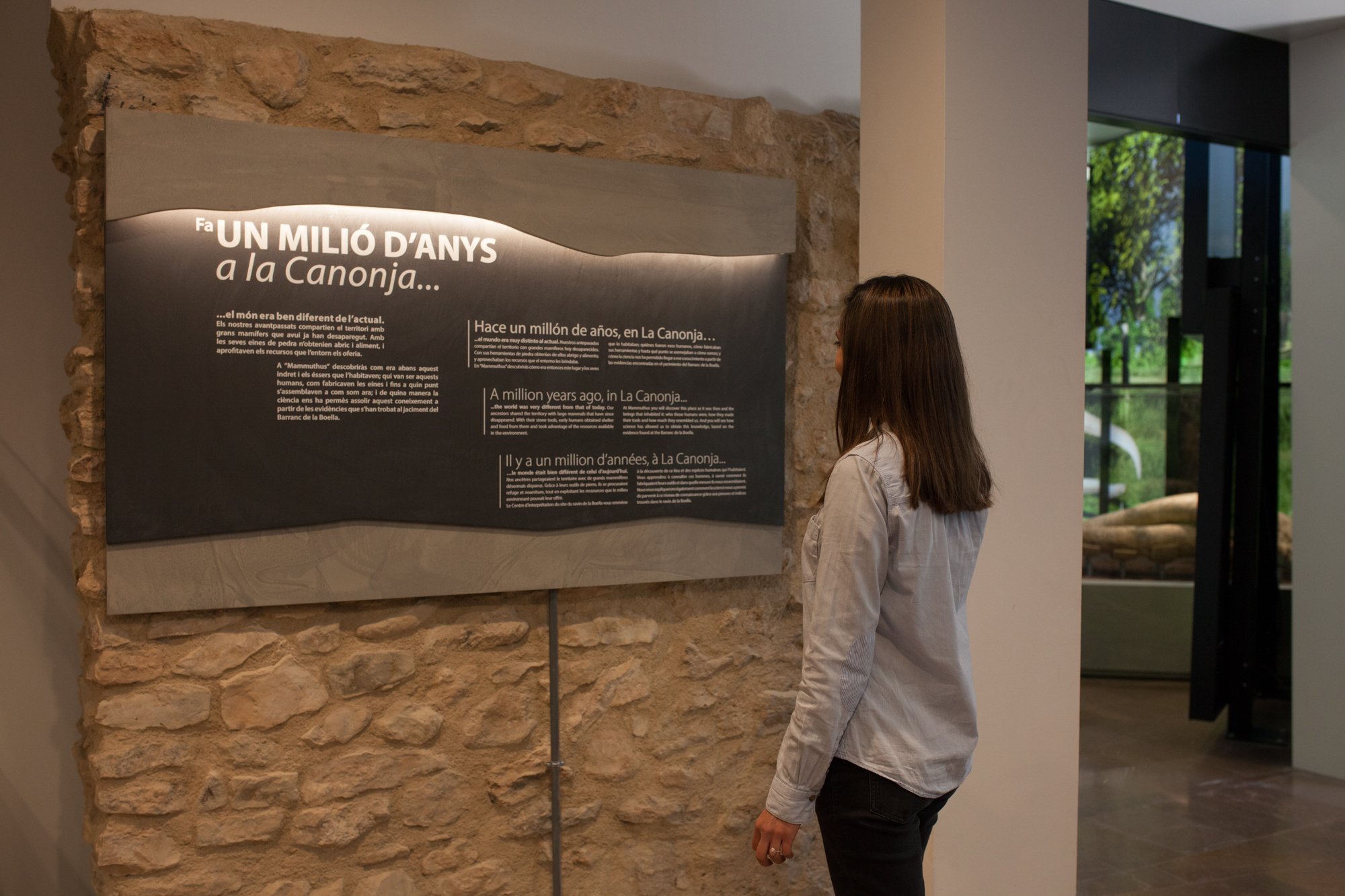 14-mammuthus-barranc-de-la-boella-canonja-spain-paleonthology-museum-ambito-cero-design-paleontologia.jpg