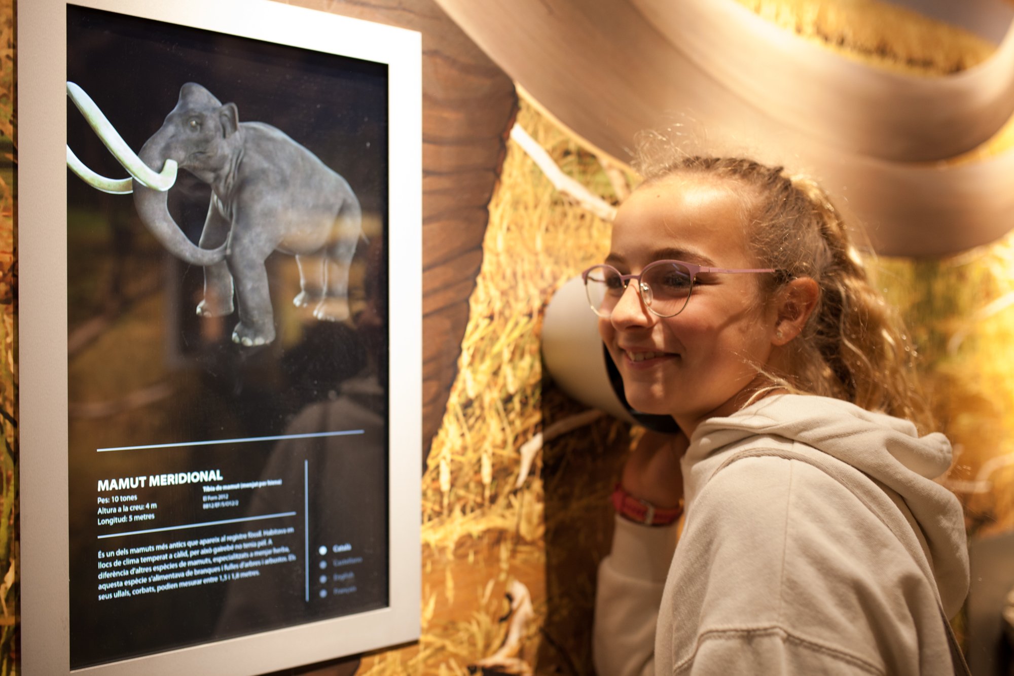 03-mammuthus-barranc-de-la-boella-canonja-spain-paleonthology-museum-ambito-cero-design-paleontologia.jpg